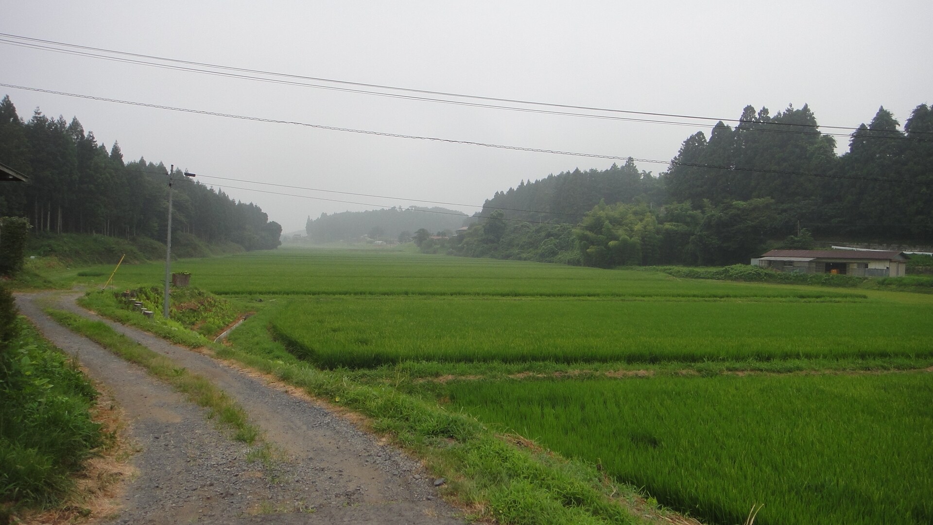 16059bfc54db3360a3ed2d149611519c1b196168.33.2.1.jpg