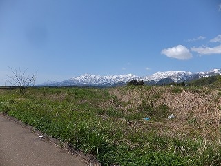 6cc9df02a5d404994c59123a6b56dd830db3ca89.66.2.1.jpg