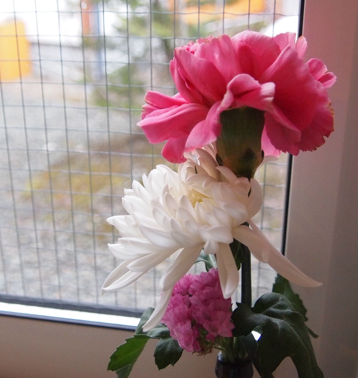 fa51b4aa1a8e4c10a37e1d628ba6b36a4fad6690.40.2.1.jpg