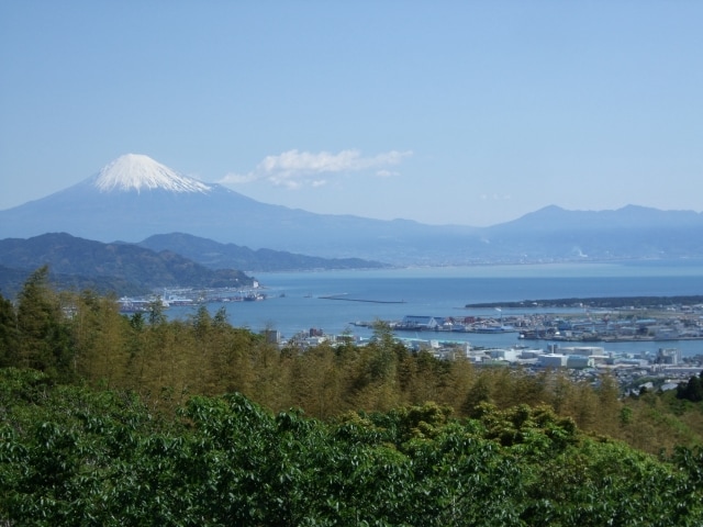 b6cc37adc2d32288caa9ce40be1b09c26e5061bf.49.2.1.jpg