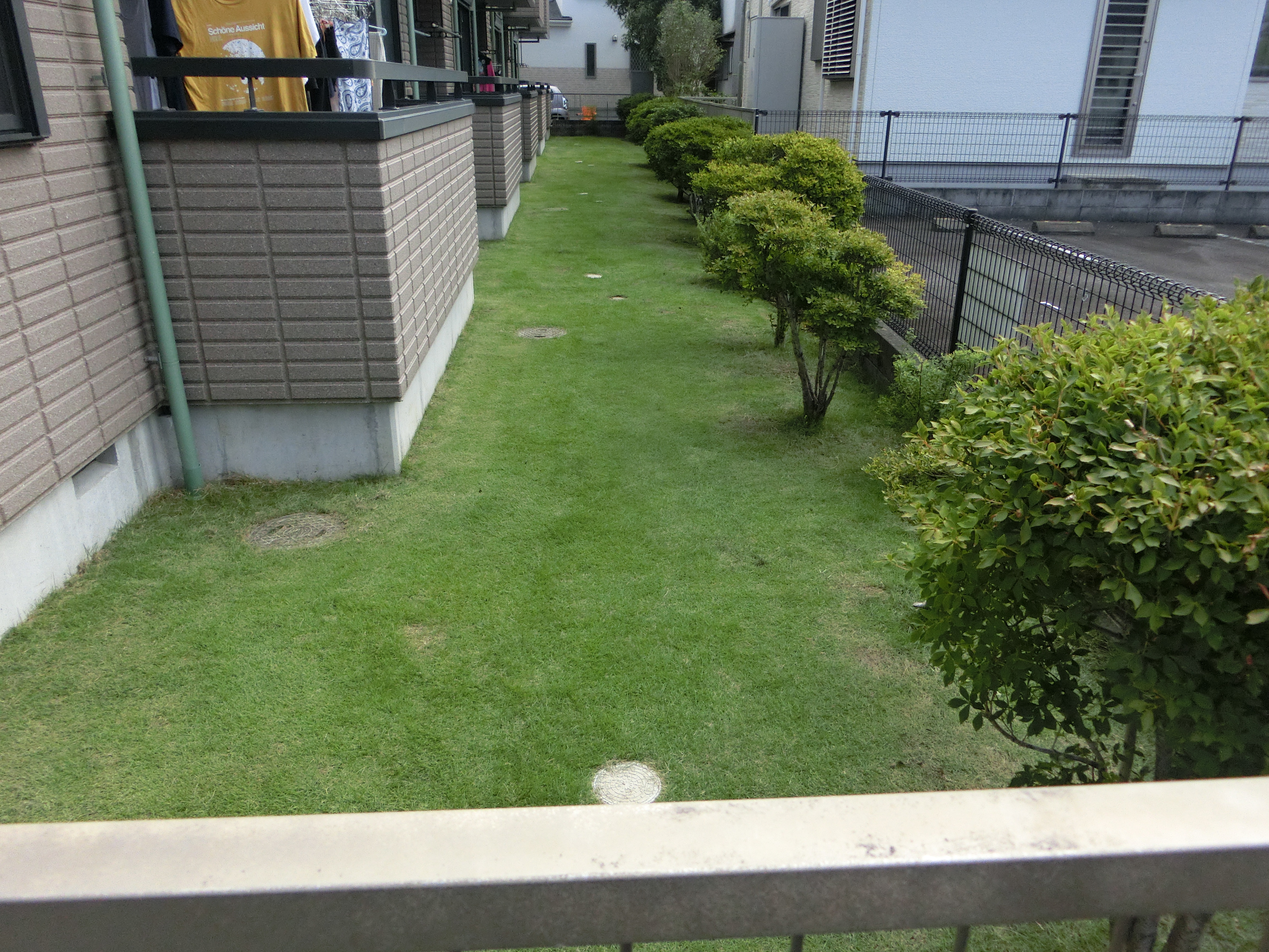 c1cc53796aeca0df100df3a1aeb453d919944cea.50.9.3.jpg
