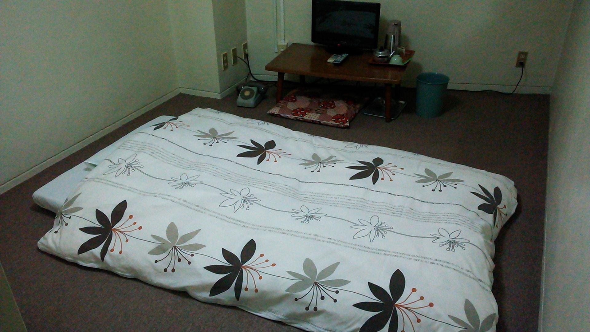 d807ec94426317a43703943ff45bc6ac1898494a.74.2.1.jpg