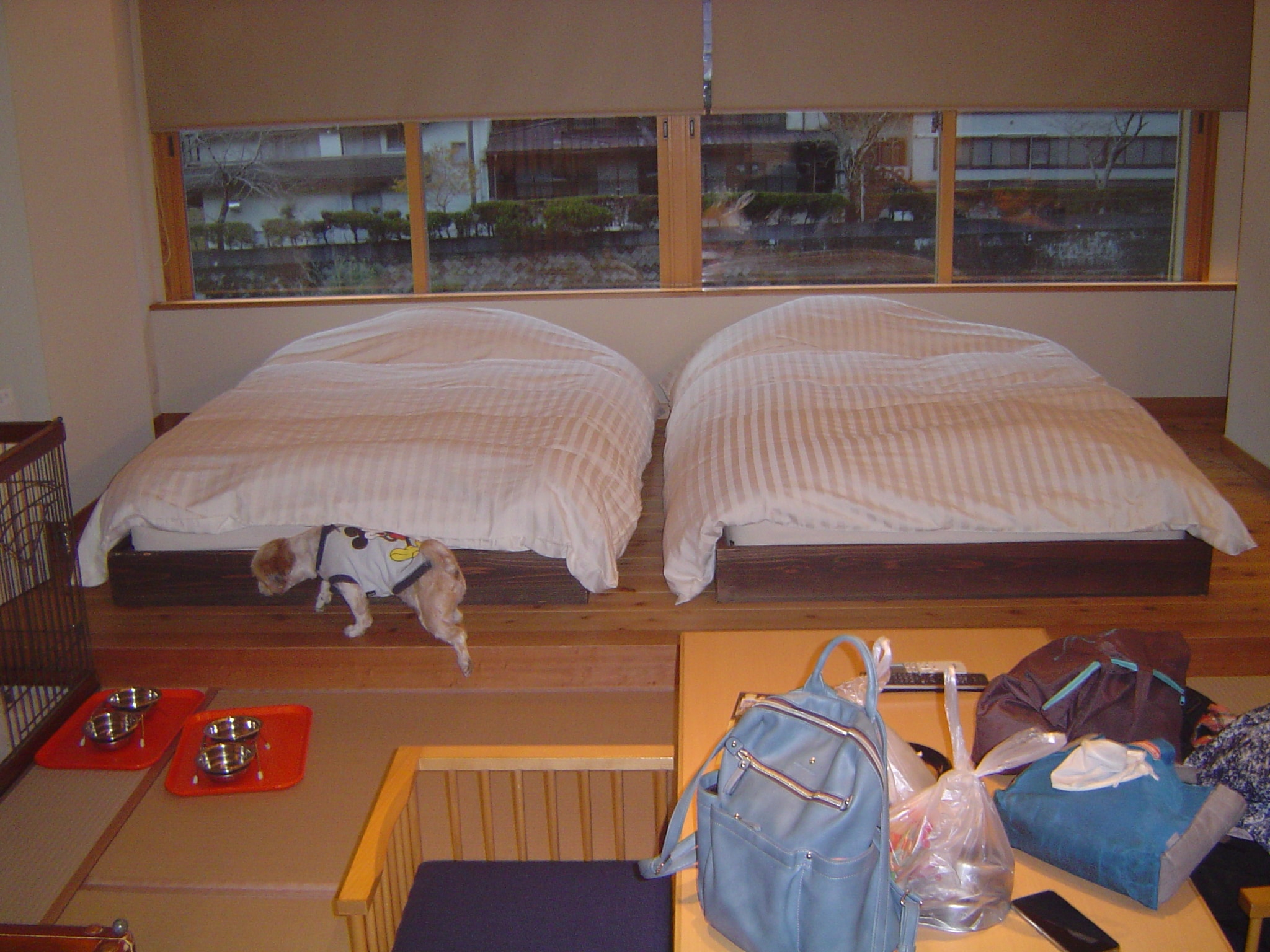 3fce841ea3ddde46783f2405f673444852045433.38.9.3.jpg