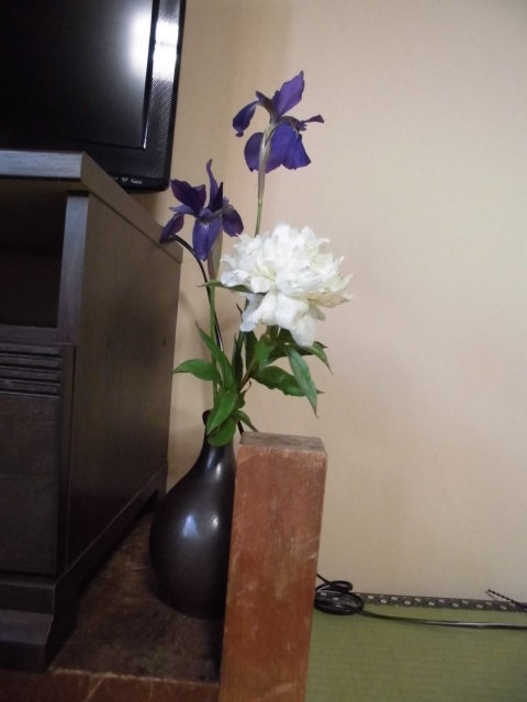 558a16ba5965cbe8182a8ab55357c58aae188855.22.2.1.jpg