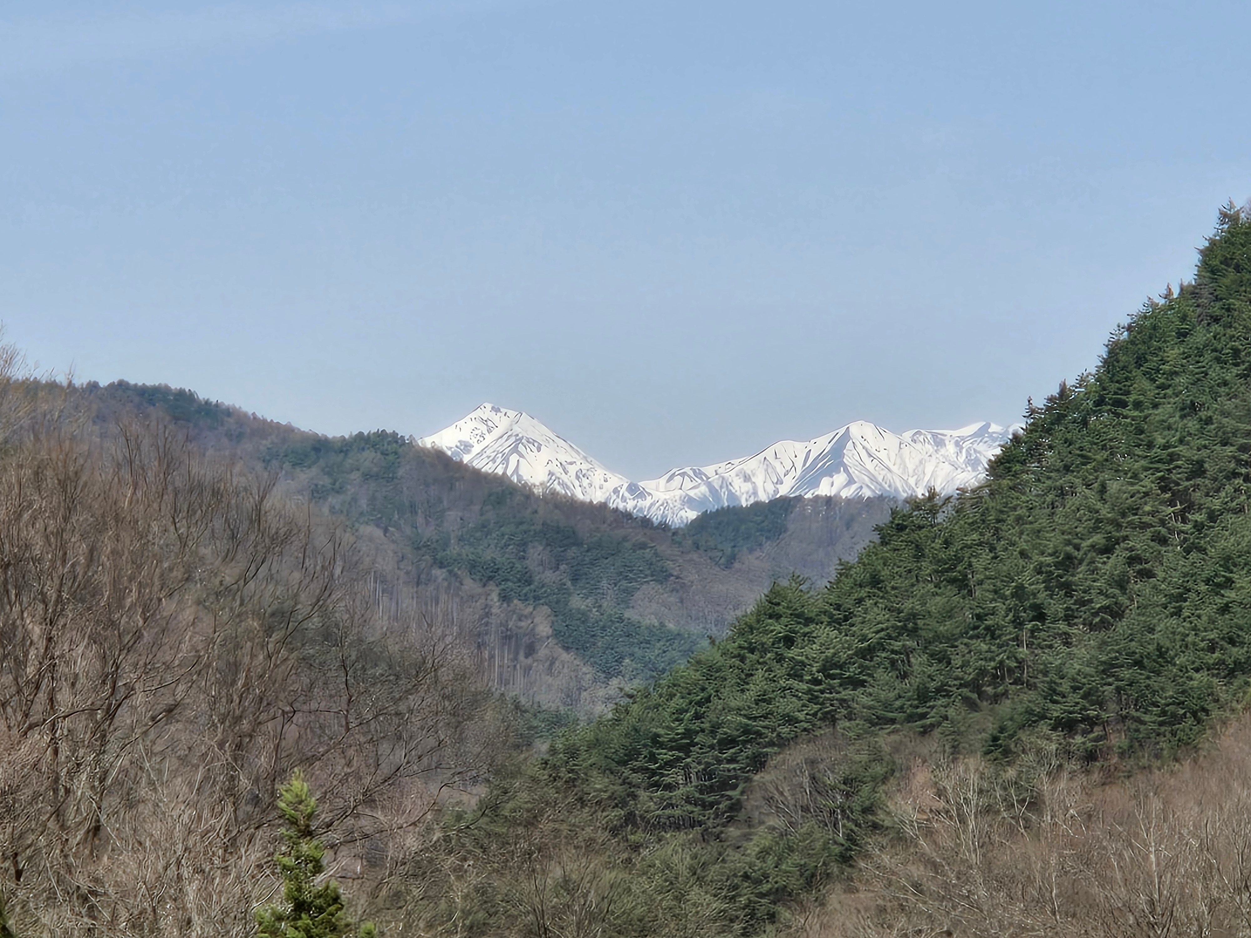 1902dbd05ddfa82e83429e32e49b58395ff6c676.59.9.3.jpg