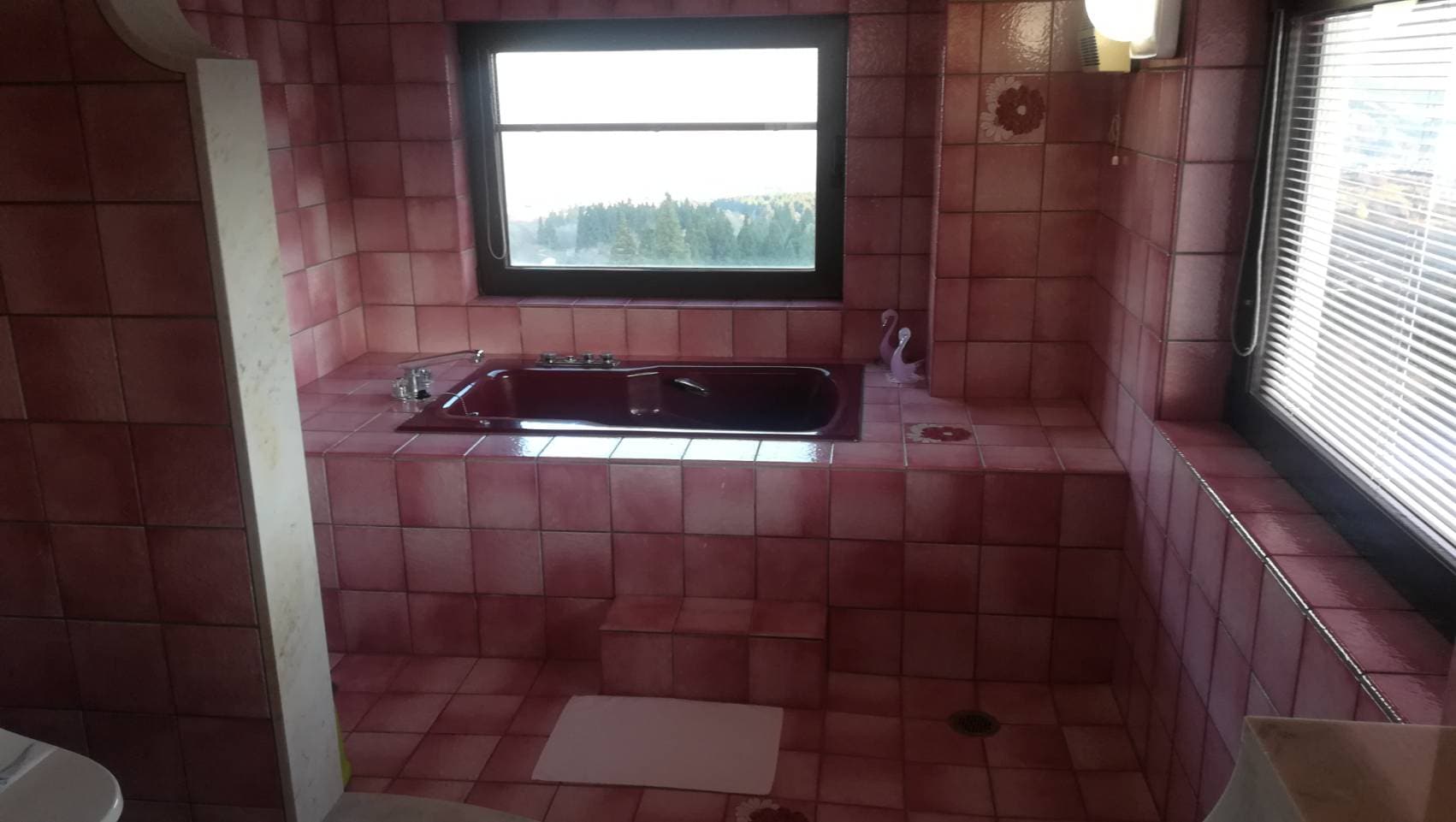 3539a5253dbc7e2c4fd9cf2d4c6adb469eb34409.46.9.3.jpg