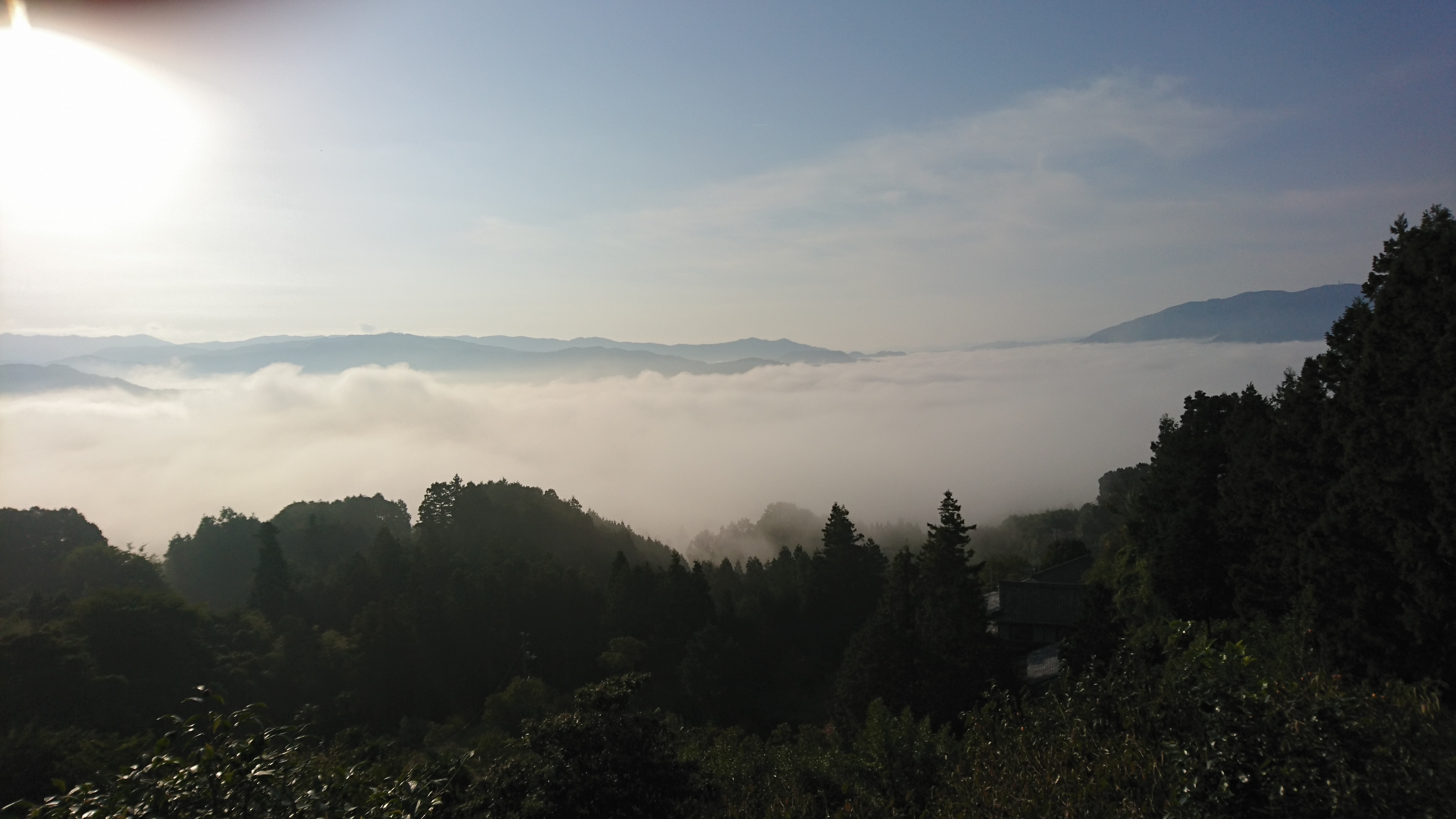 bc9608542e9d0eabc4b4e4199af46ee88225ddd1.77.2.1.jpg