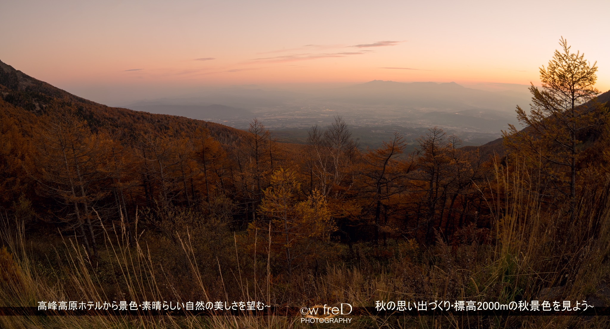 4b38c77d74f842cc6cee0267dbc66d86c98a5016.36.2.1.jpg