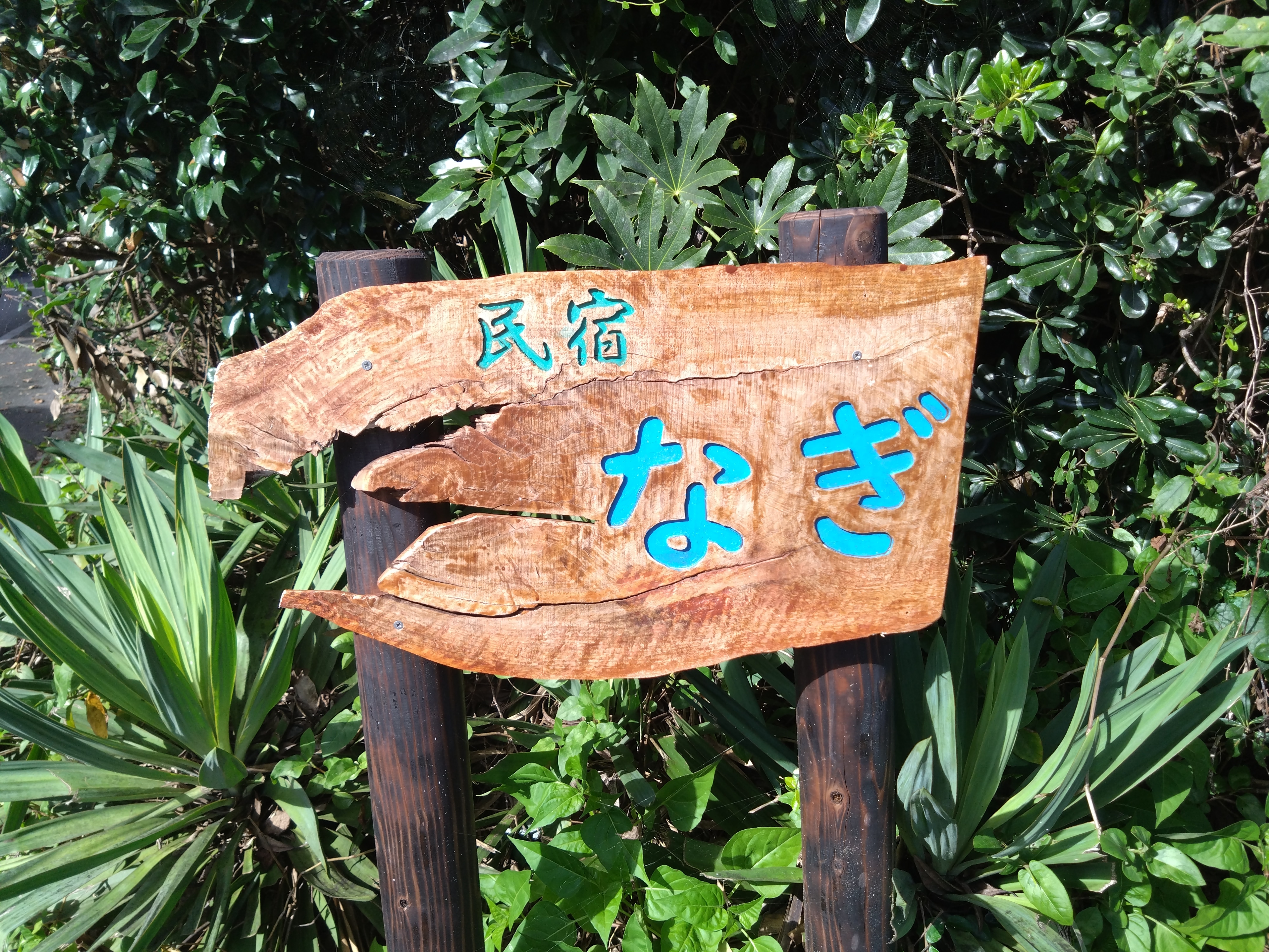 7a047164cd73abbca5d860b6a1e712bdff4b5ffd.88.9.3.jpg