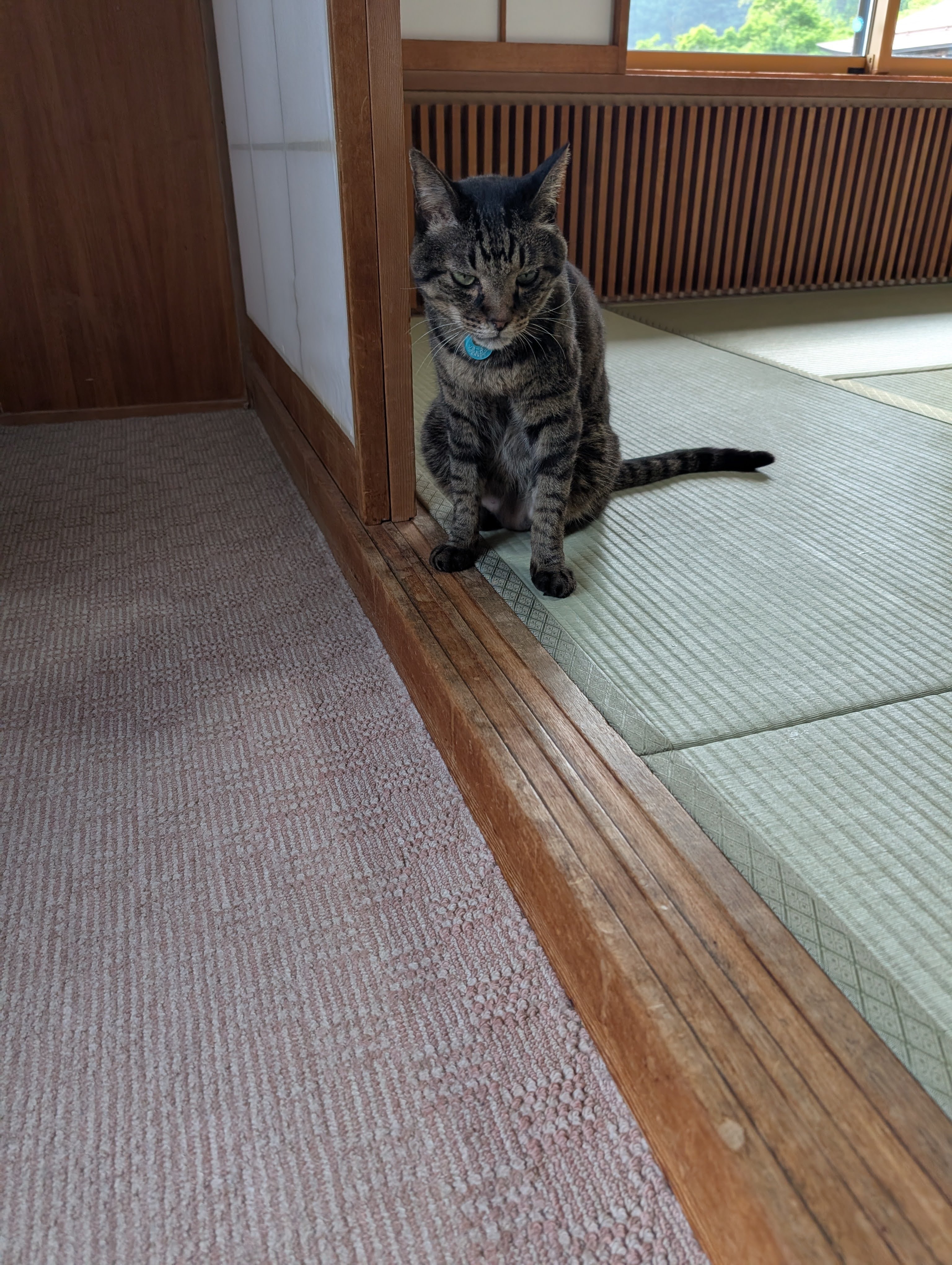 a9e8518a2d61968a9f508ebf4bee8cc4fa219cdc.71.9.3.jpg