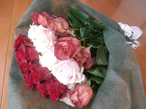 4dbe6df0a4993d4f89cd29162894c1729b08ed91.25.2.1.jpg
