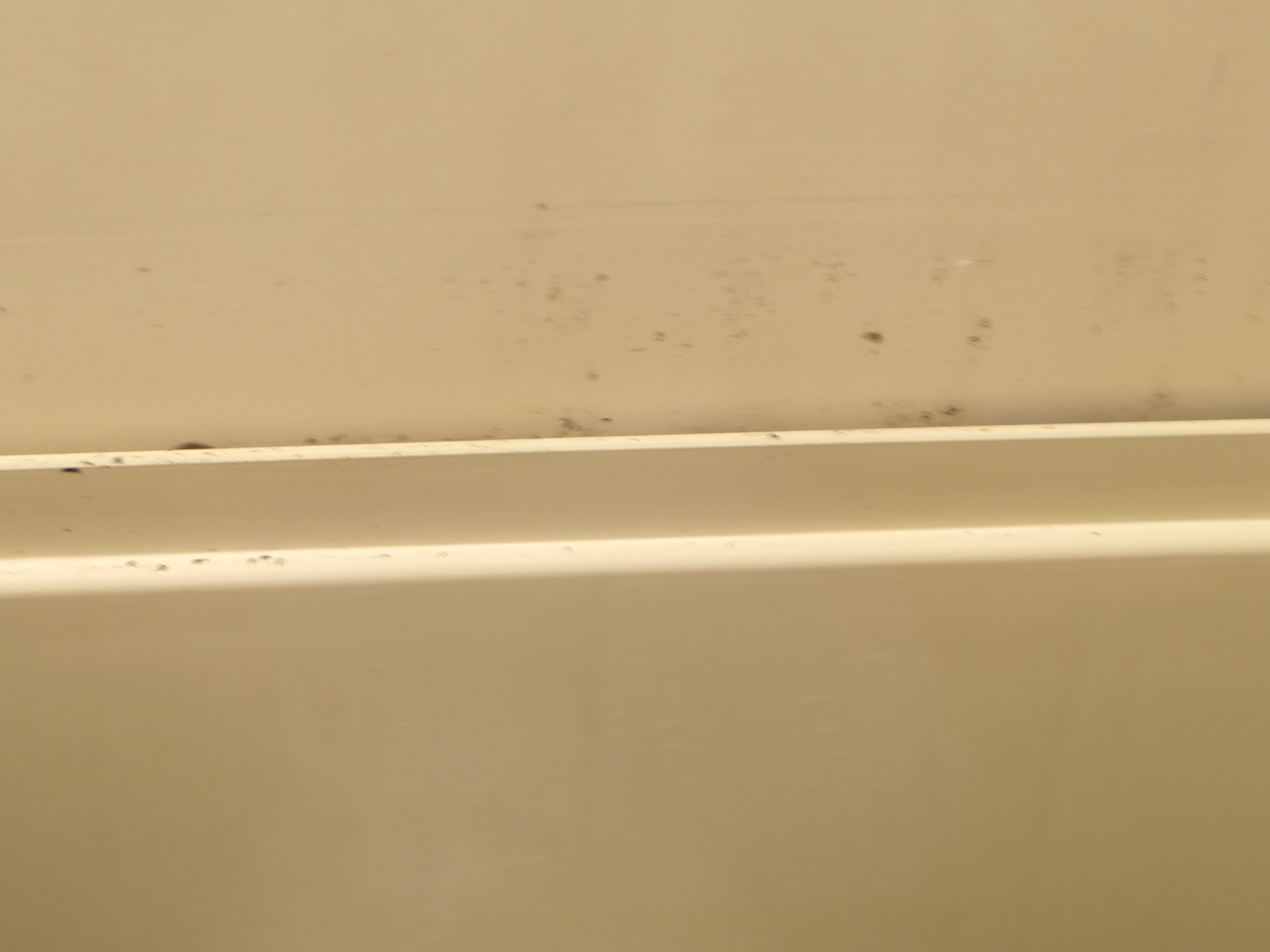 a8418c7edd5d40f4568641de919e2cad97ed75e7.50.2.1.jpg