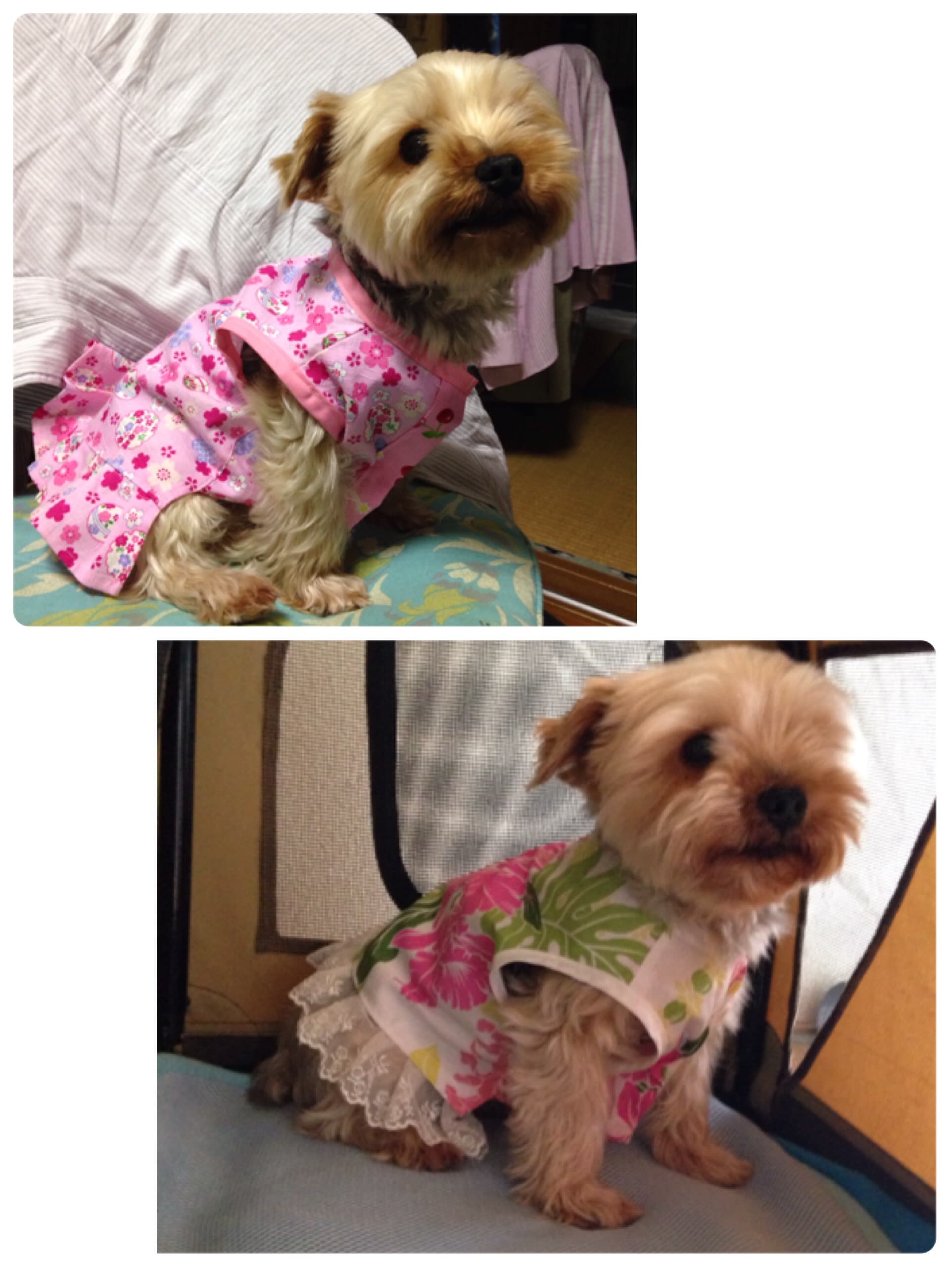 39648a713cd8eabd6705c2a5a3ec2b89cf4f7b7d.36.2.1.jpg