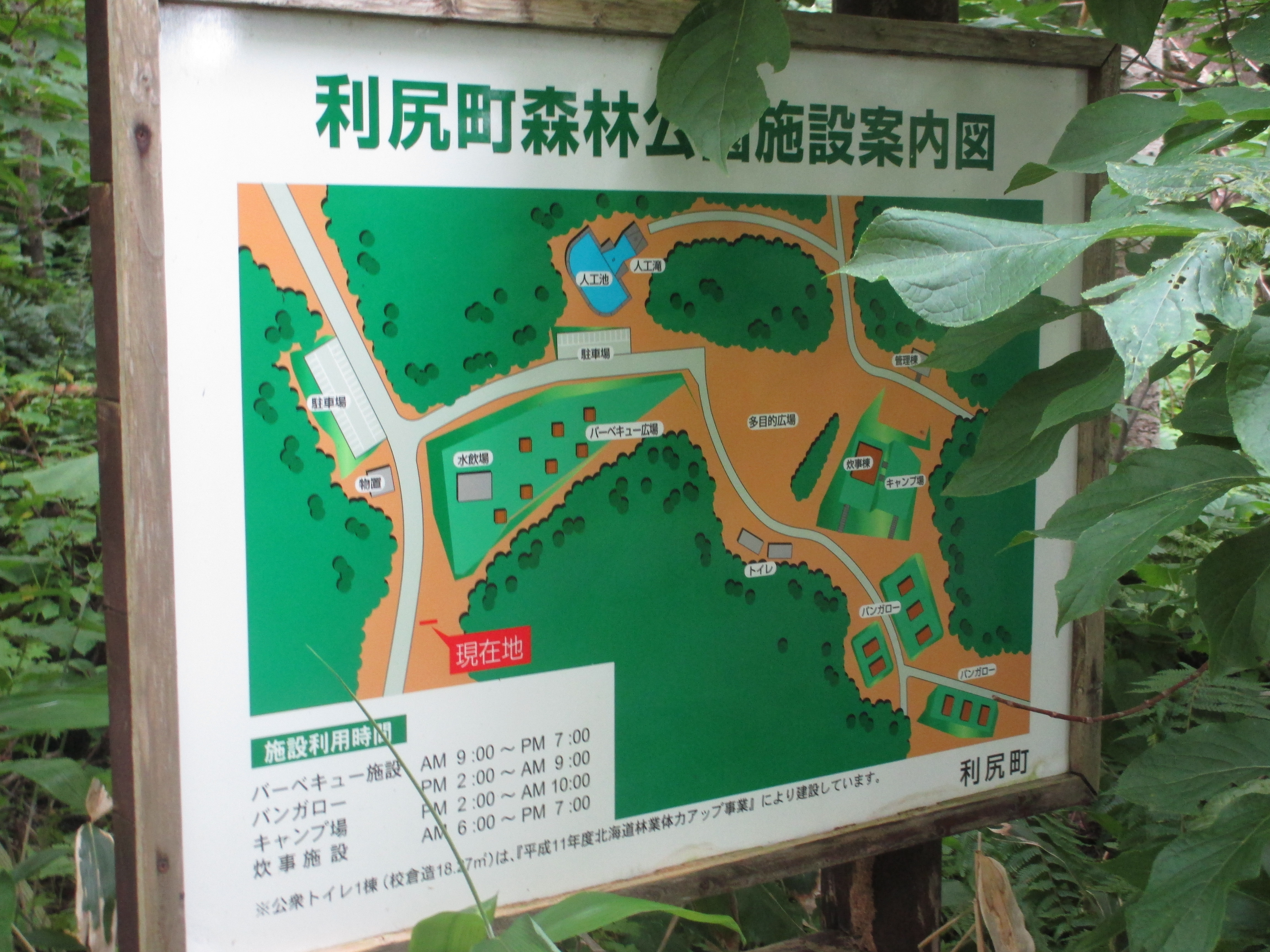 880f183d601f5cea5517b331c9a532ae6b9d0987.42.9.3.jpg