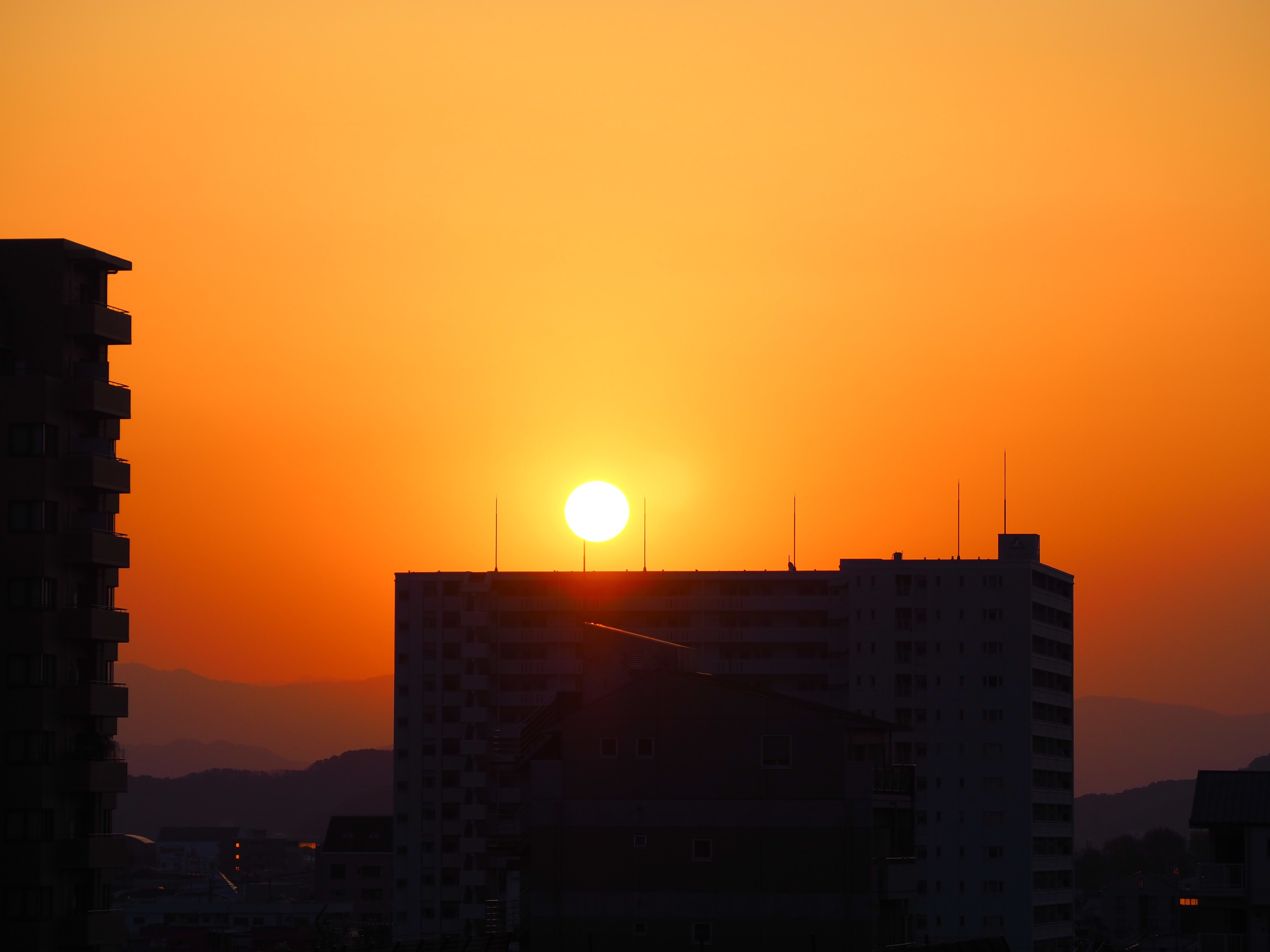 4ea167a2d251a9a5b6d1f1b8e5ecba45dbdde6d6.19.2.1.jpg