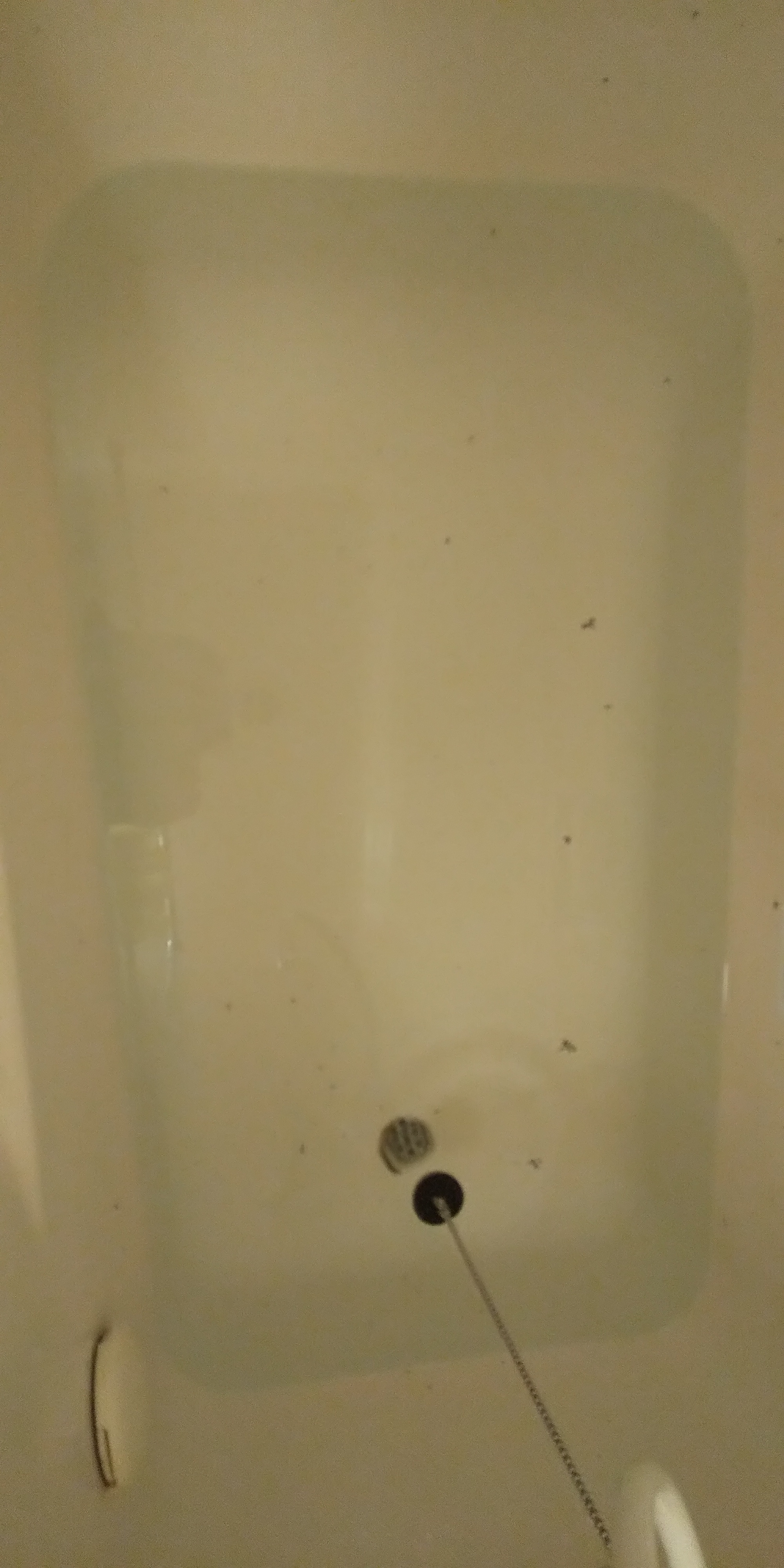 83cffdf14a50d60f250ee77d1dd9462e129edd38.26.9.3.jpg