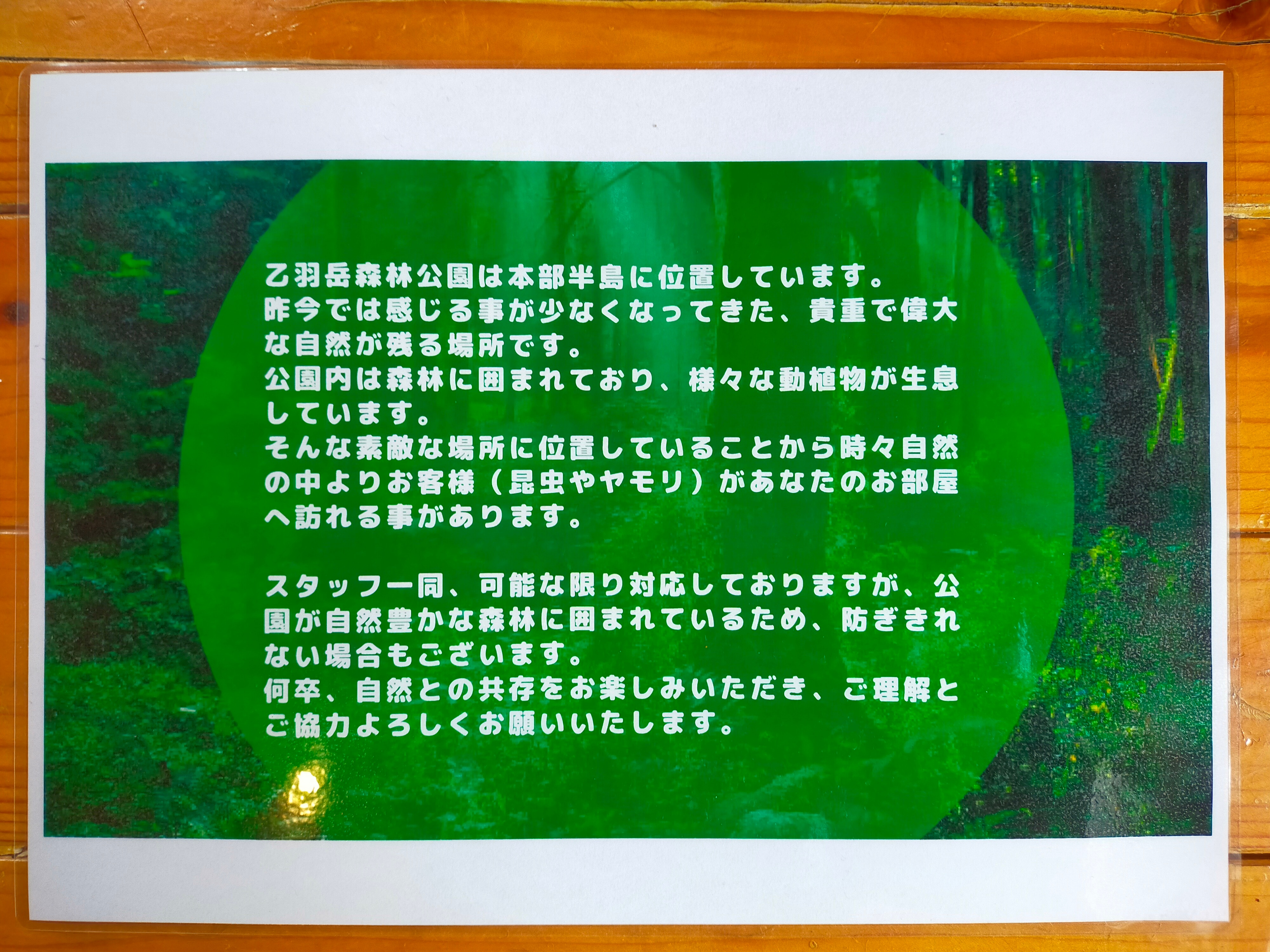 75f8c5b5cef2c4e60f3e9523e99b9d0fc365777f.56.9.3.jpg