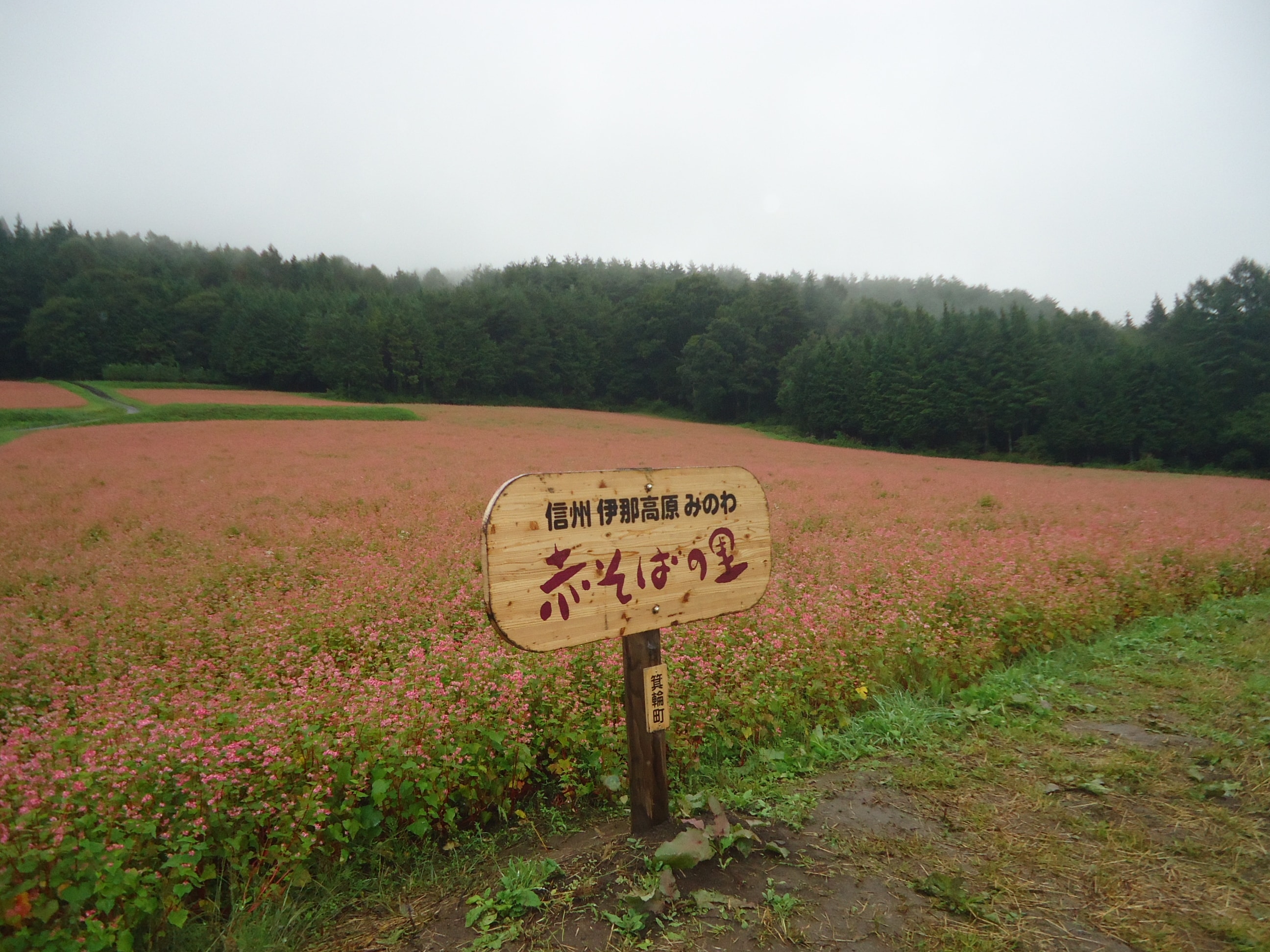 03a4744ed70fd20cdd3cd7528fd446f8c68e4ef8.57.2.1.jpg
