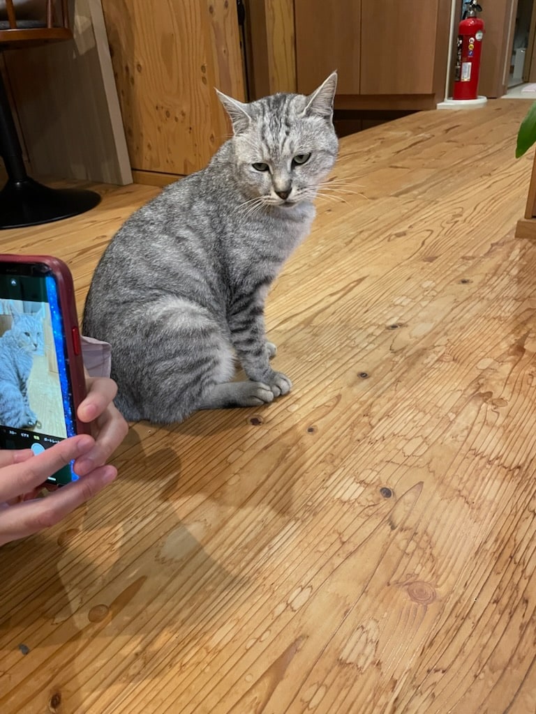 db146669831ed10389ff9becfd48131e57e243b5.11.9.3.jpg