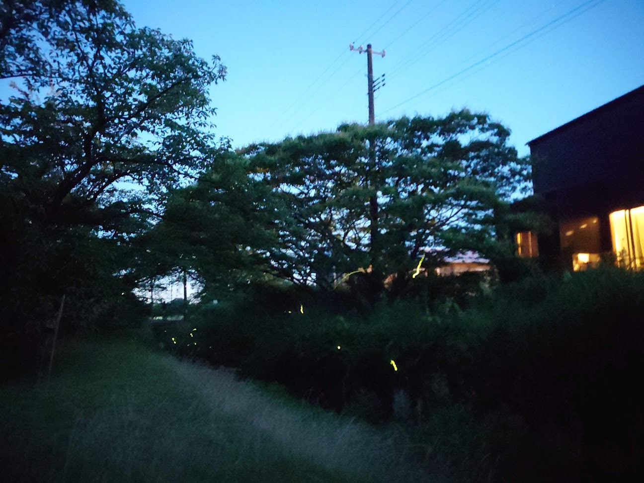 b40e917e0381f0585a976c5a88aaefd9487e3fcd.34.9.3.jpg