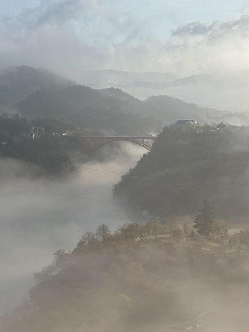 1DEC55C3-8EB3-4A72-963C-3914BF964C91.jpeg