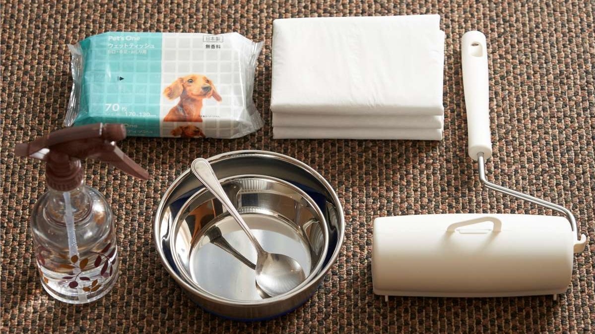 [Amenities for your beloved dog]