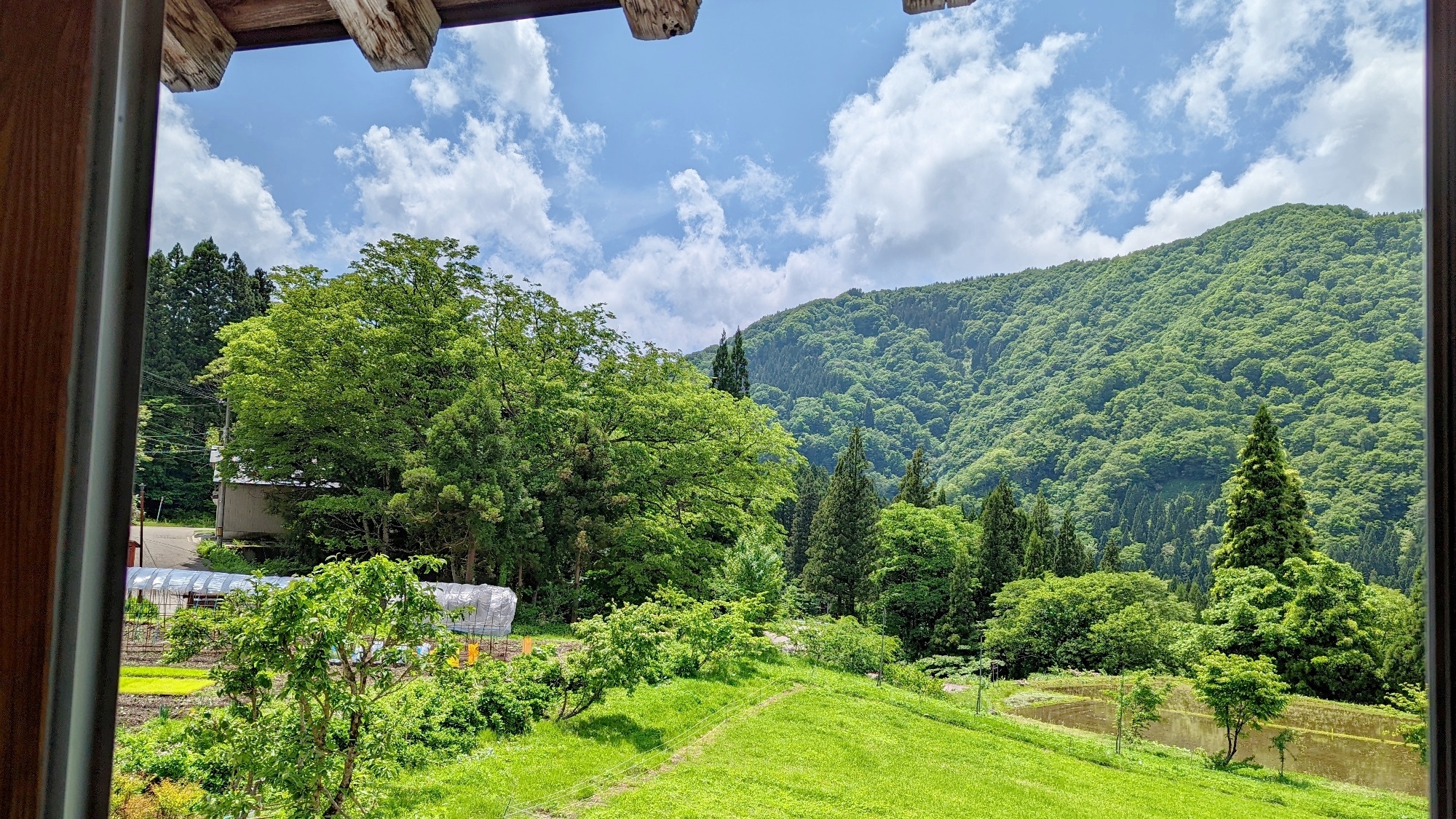 View from the guest room (image)