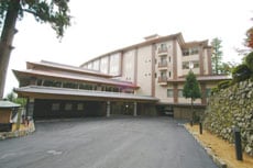 Appearance image
