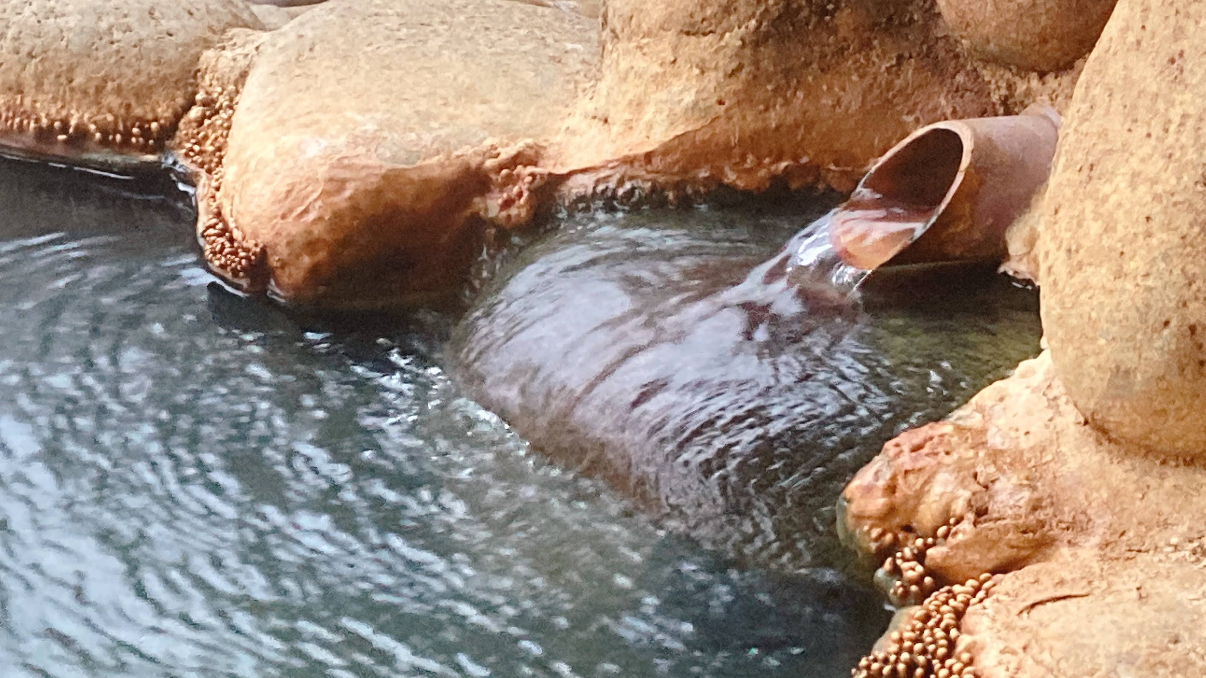 A natural hot spring that flows directly from the water