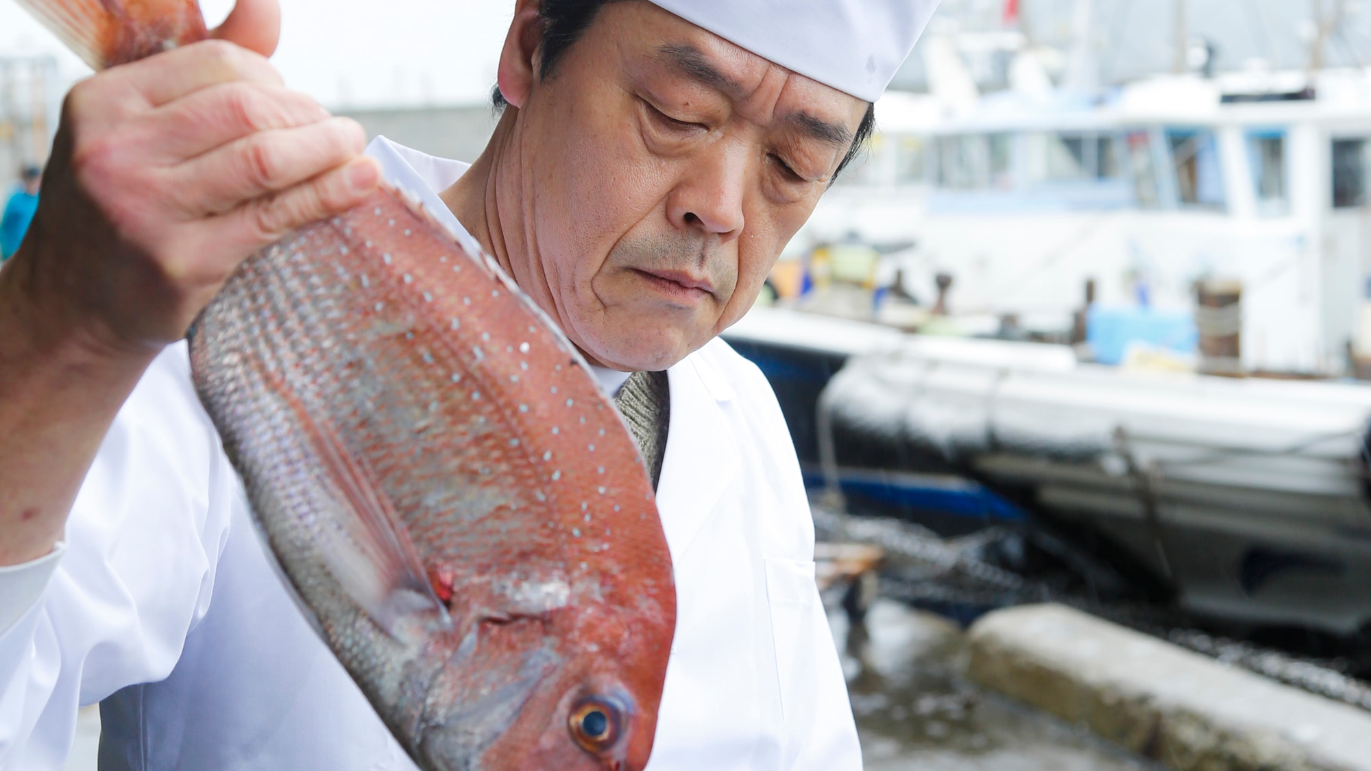 Nhận dạng đầu bếp Sakuradai