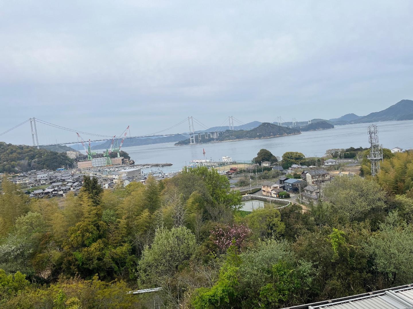IMG_1112.jpeg