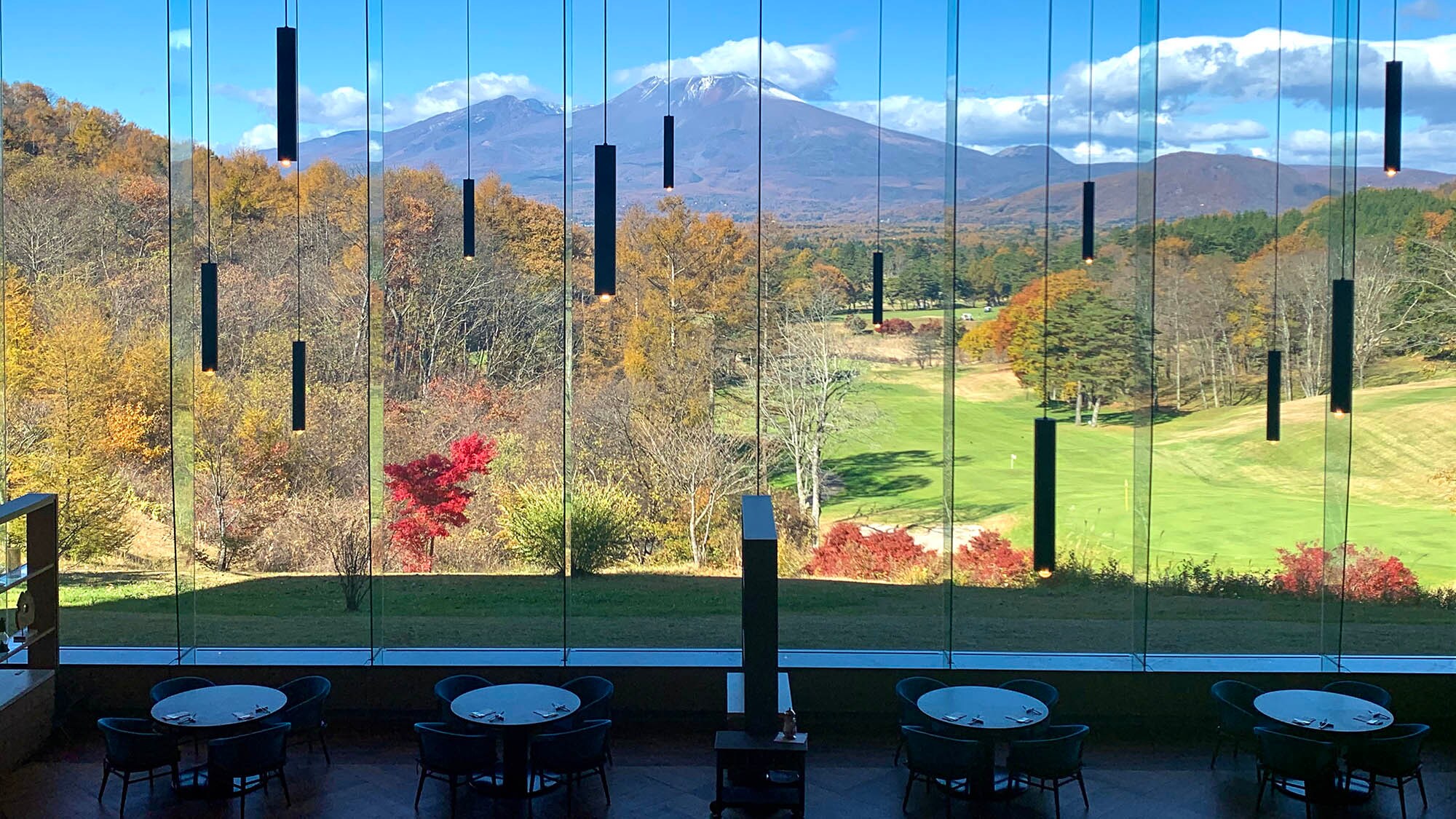 Dining Bloom (Autumn)