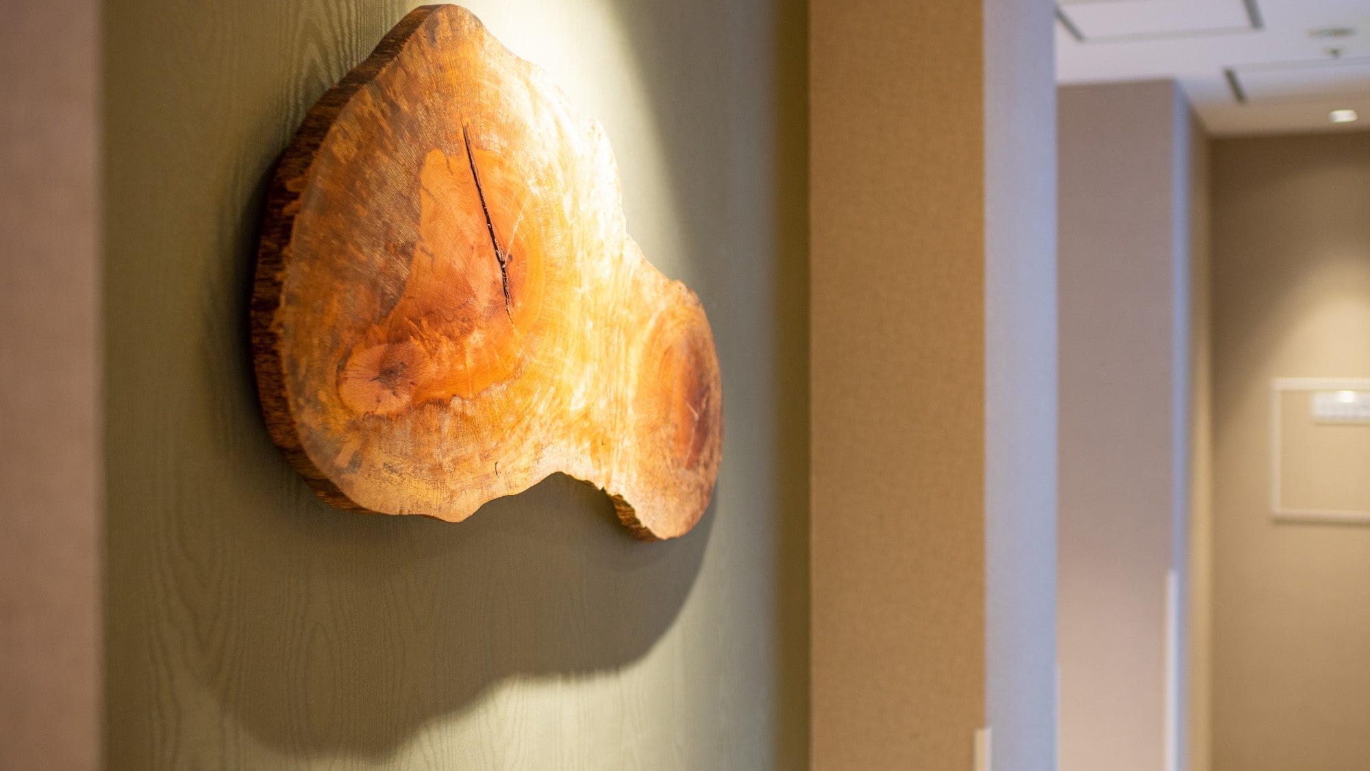 Our hotel is decorated with cedar from Morotsuka Village, Miyazaki Prefecture.