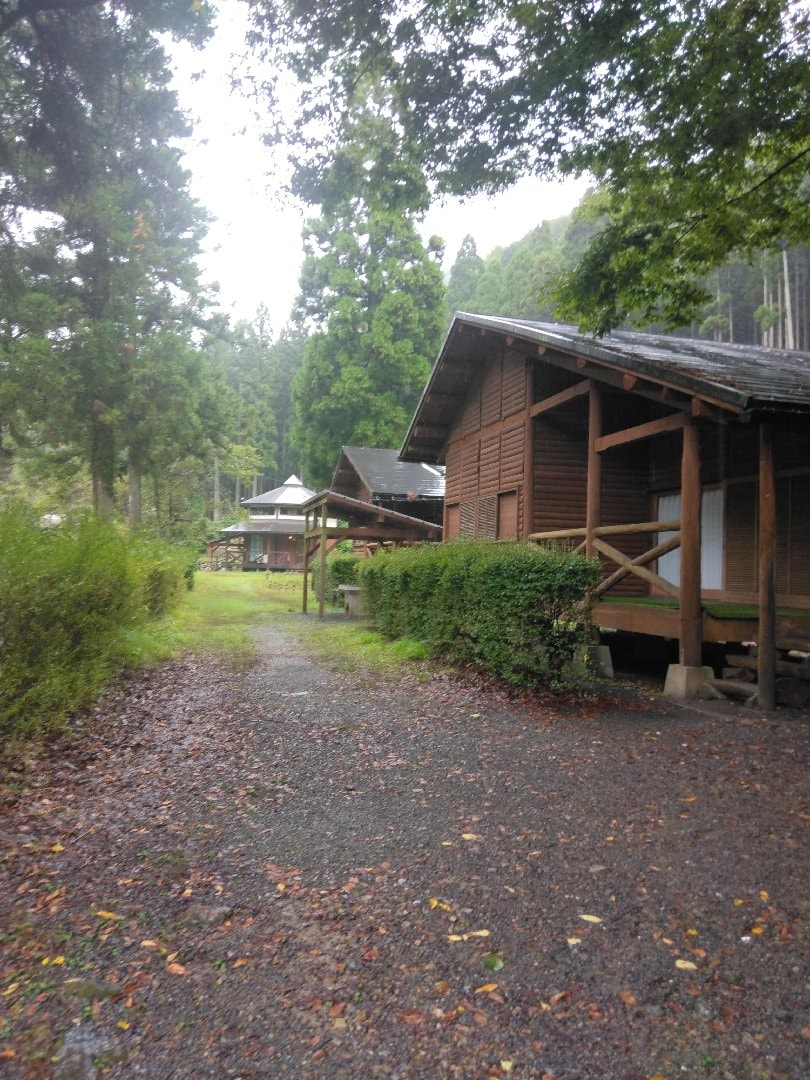 59.jpg
