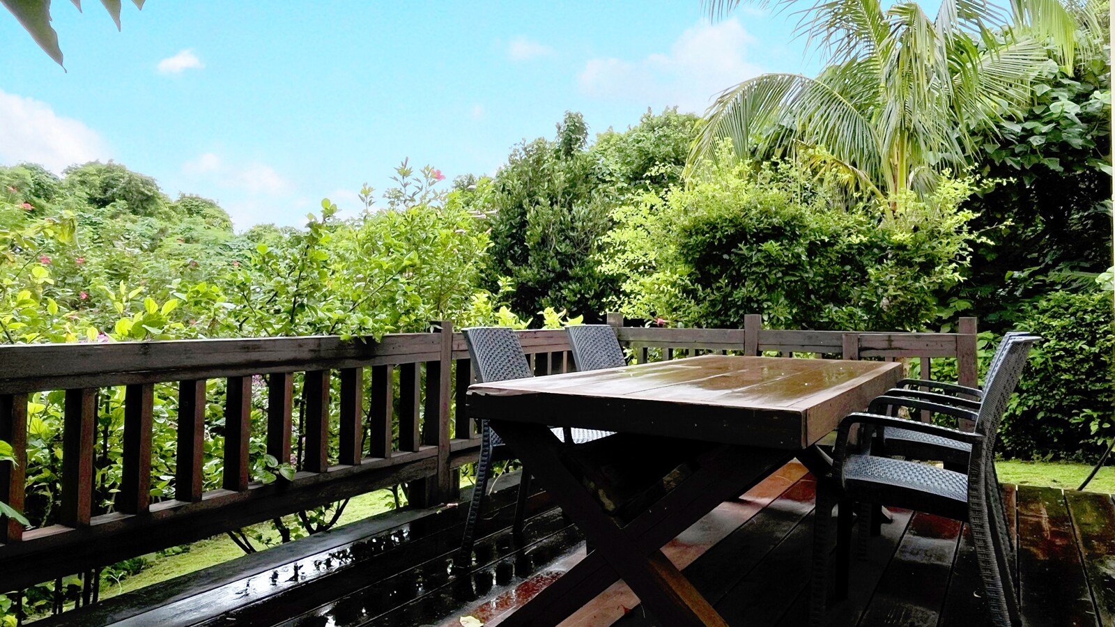 Wooden deck overlooking nature*