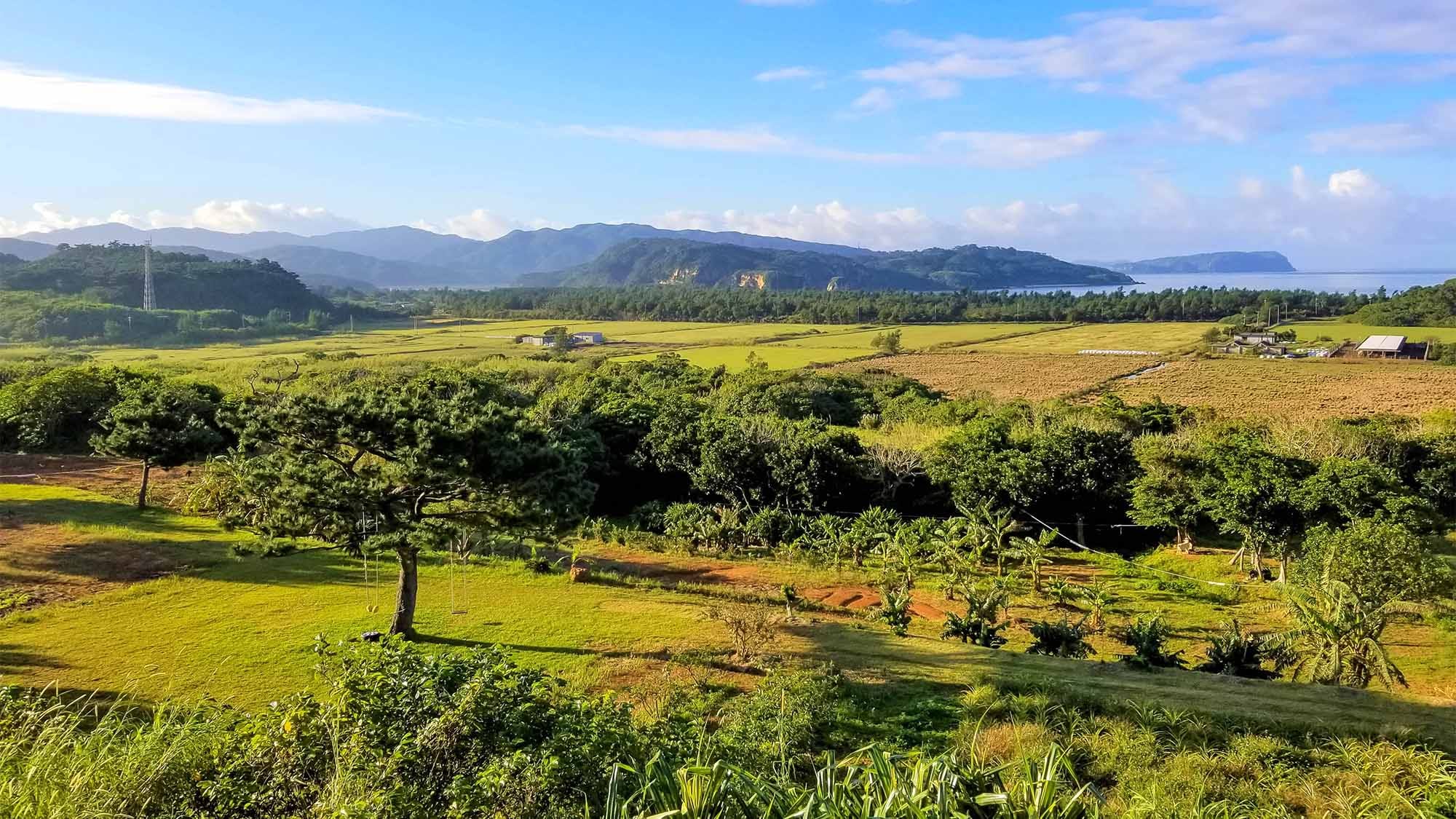 ・ The magnificent nature of the sea, mountains, rivers and Iriomote Island spreads around