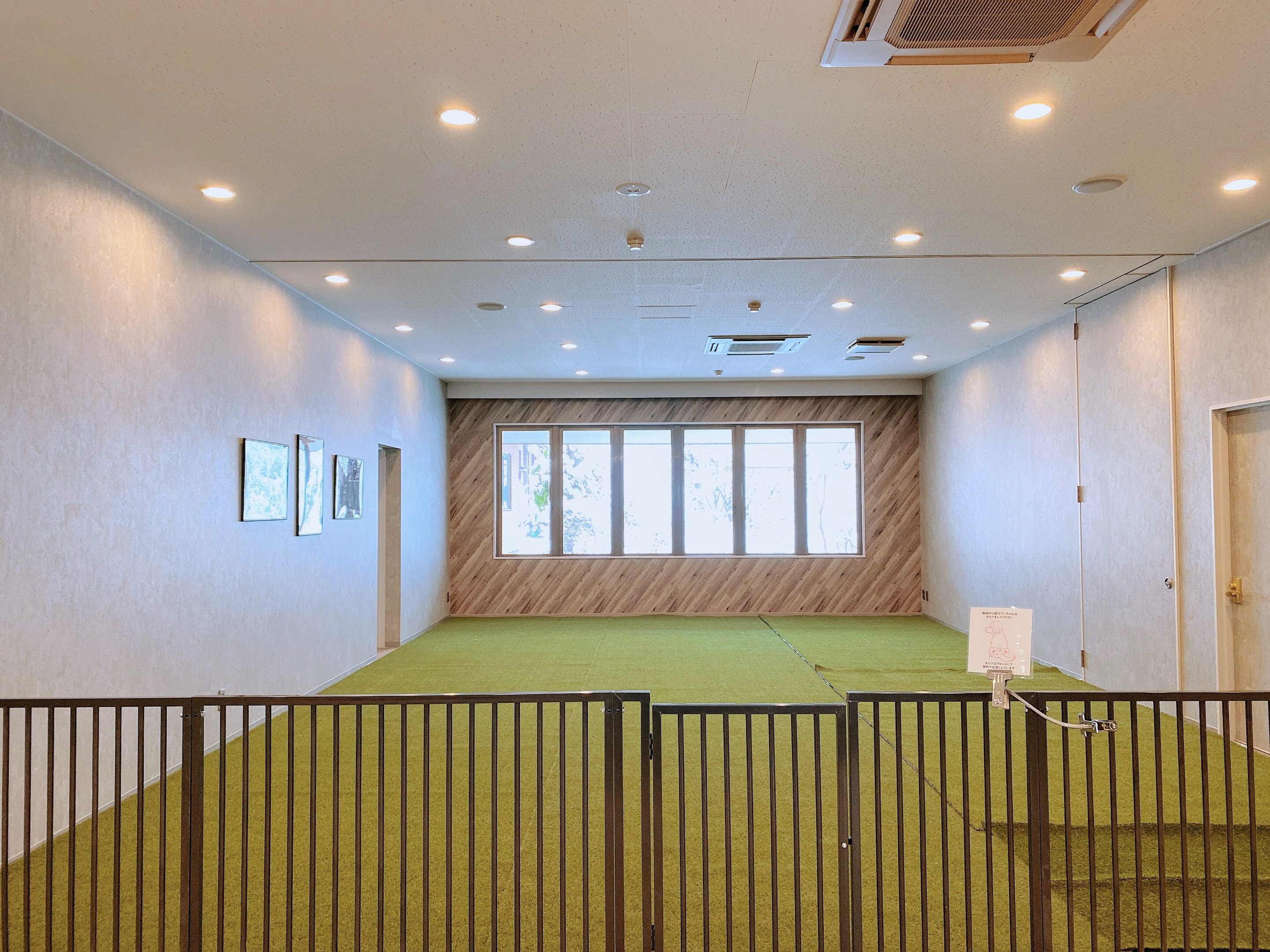 室内遛狗