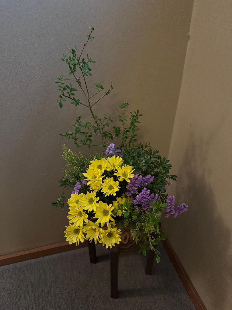 1486CDDC-4BE6-4C24-AB7D-7A94396CE5BE.jpeg