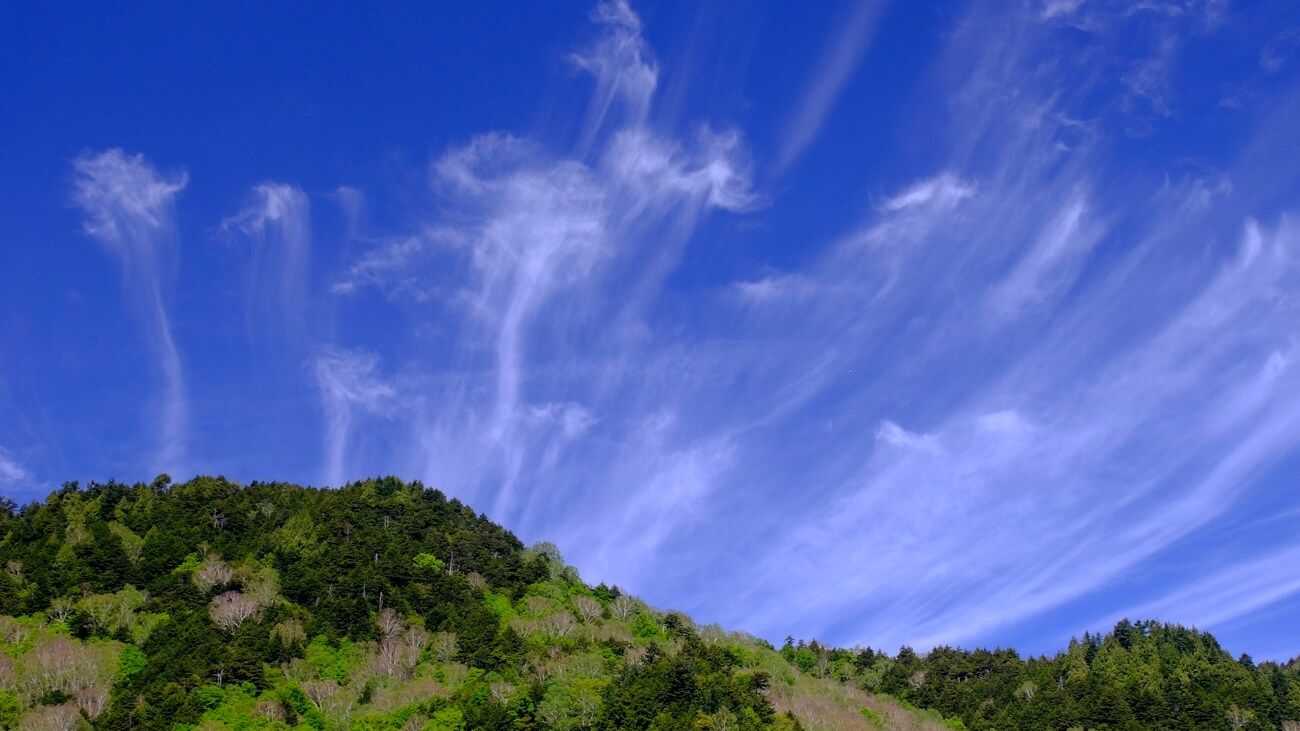 *[Around the facility] The clear blue sky signals the arrival of spring.