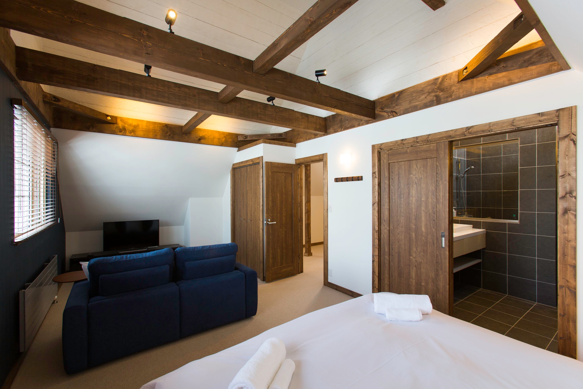 Bedroom with living room