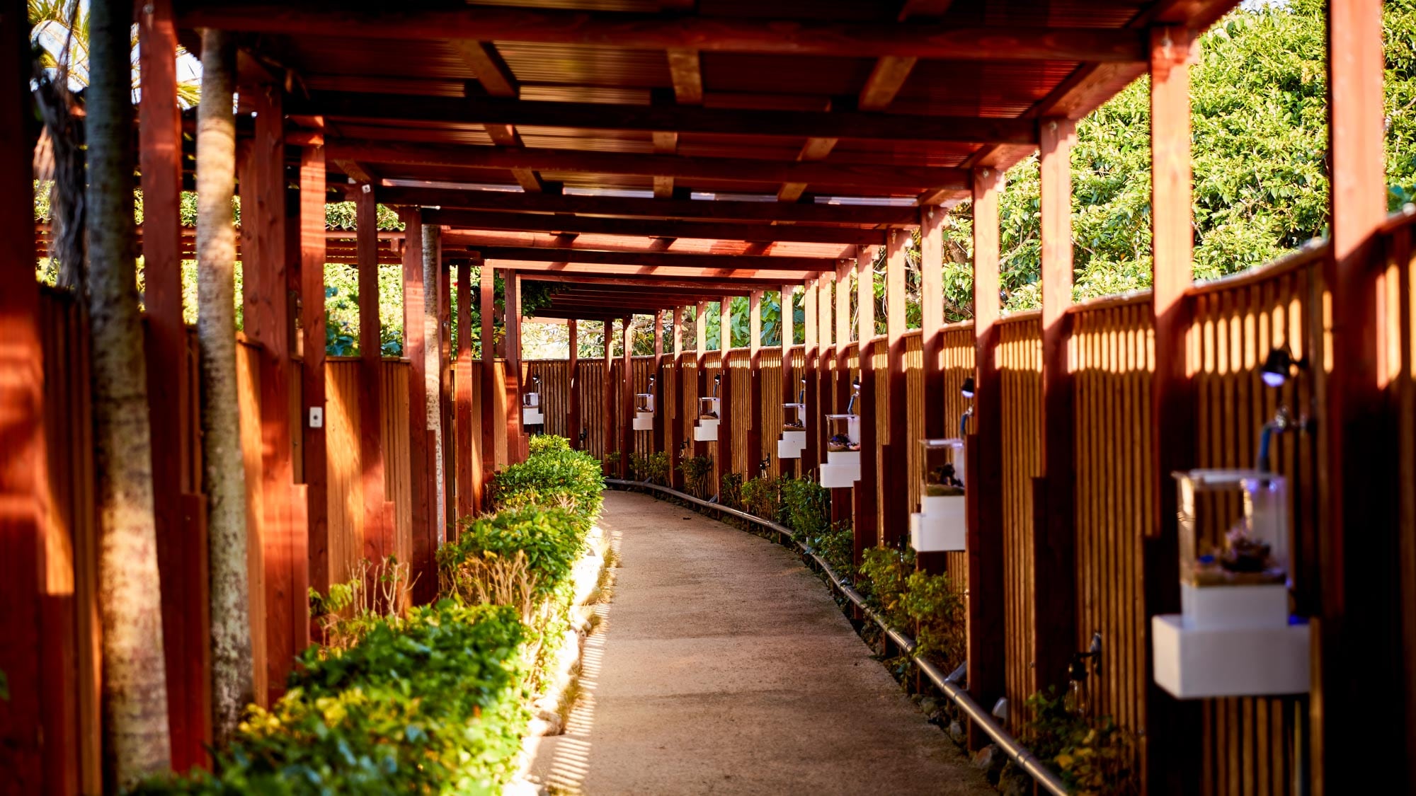 Facility passage