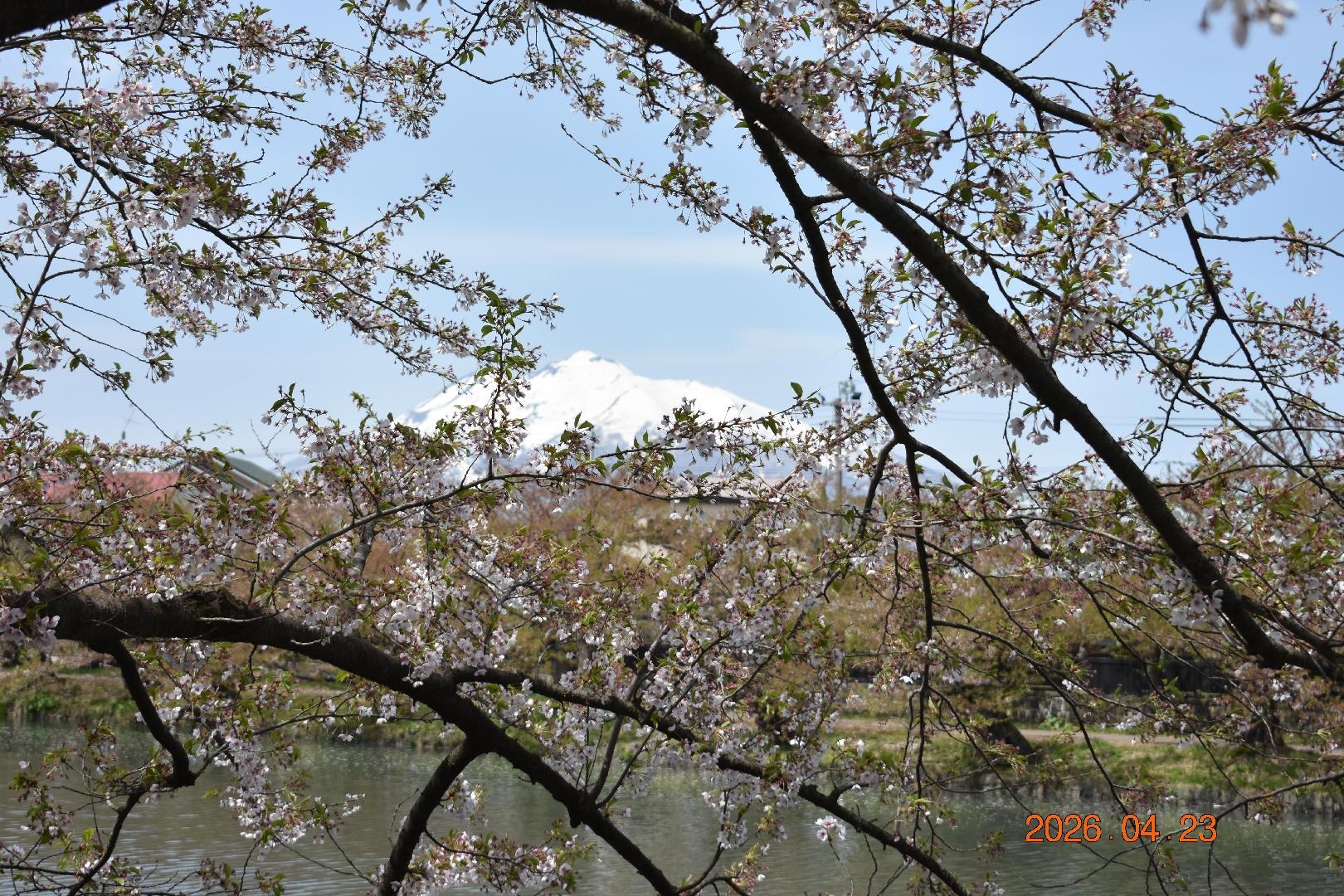 DSC_0791.JPG
