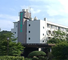 Appearance image