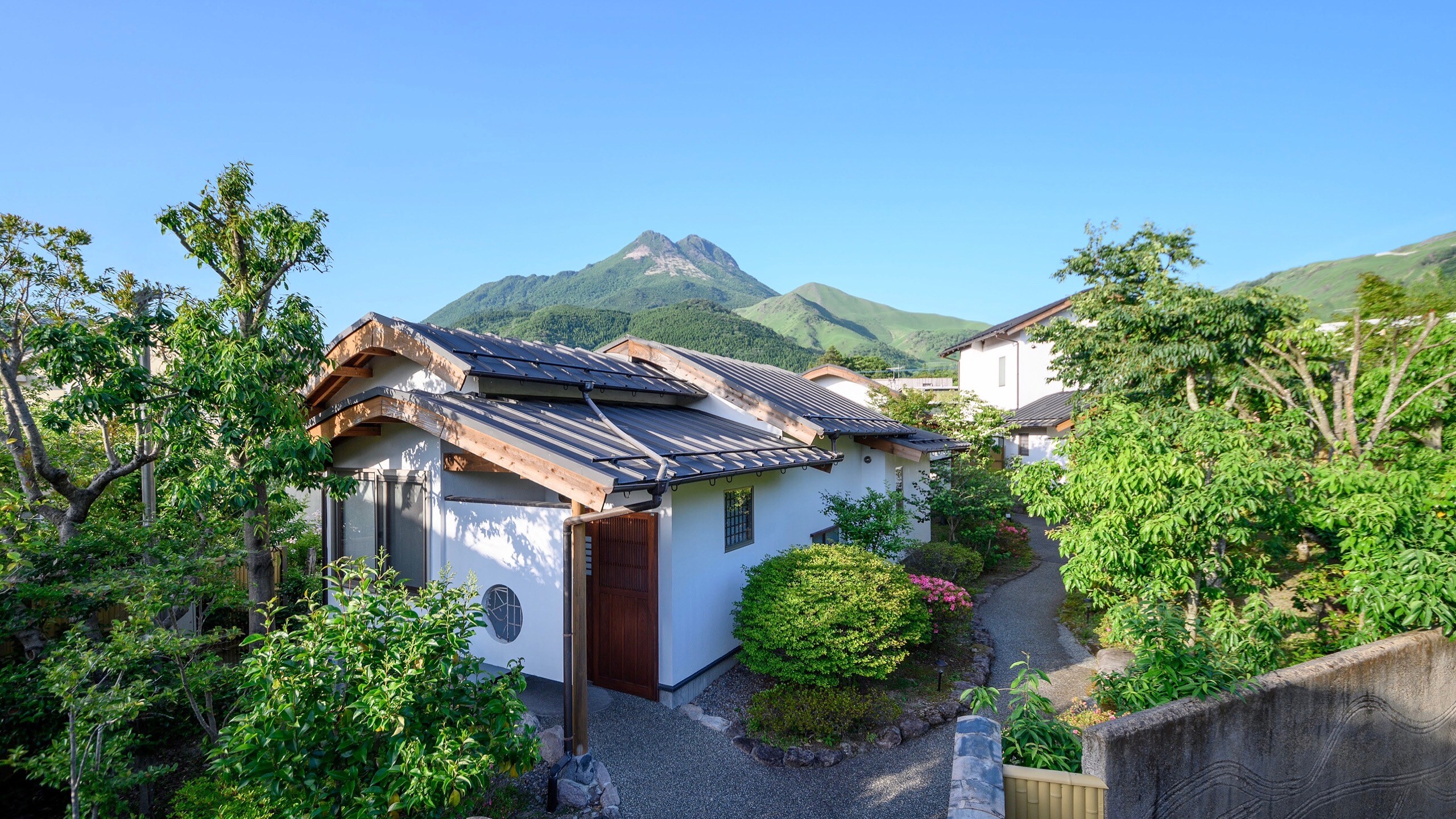 Courtyard landscape