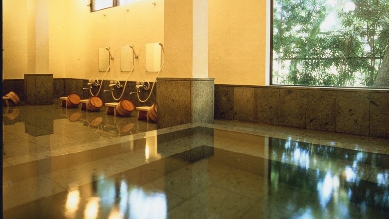 Men's bath: "Izu Wakakusa stone"