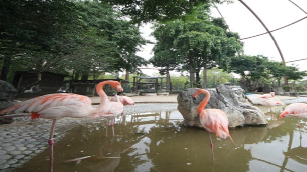 [Kurume Bird Center] About 12 minutes by car from the hotel