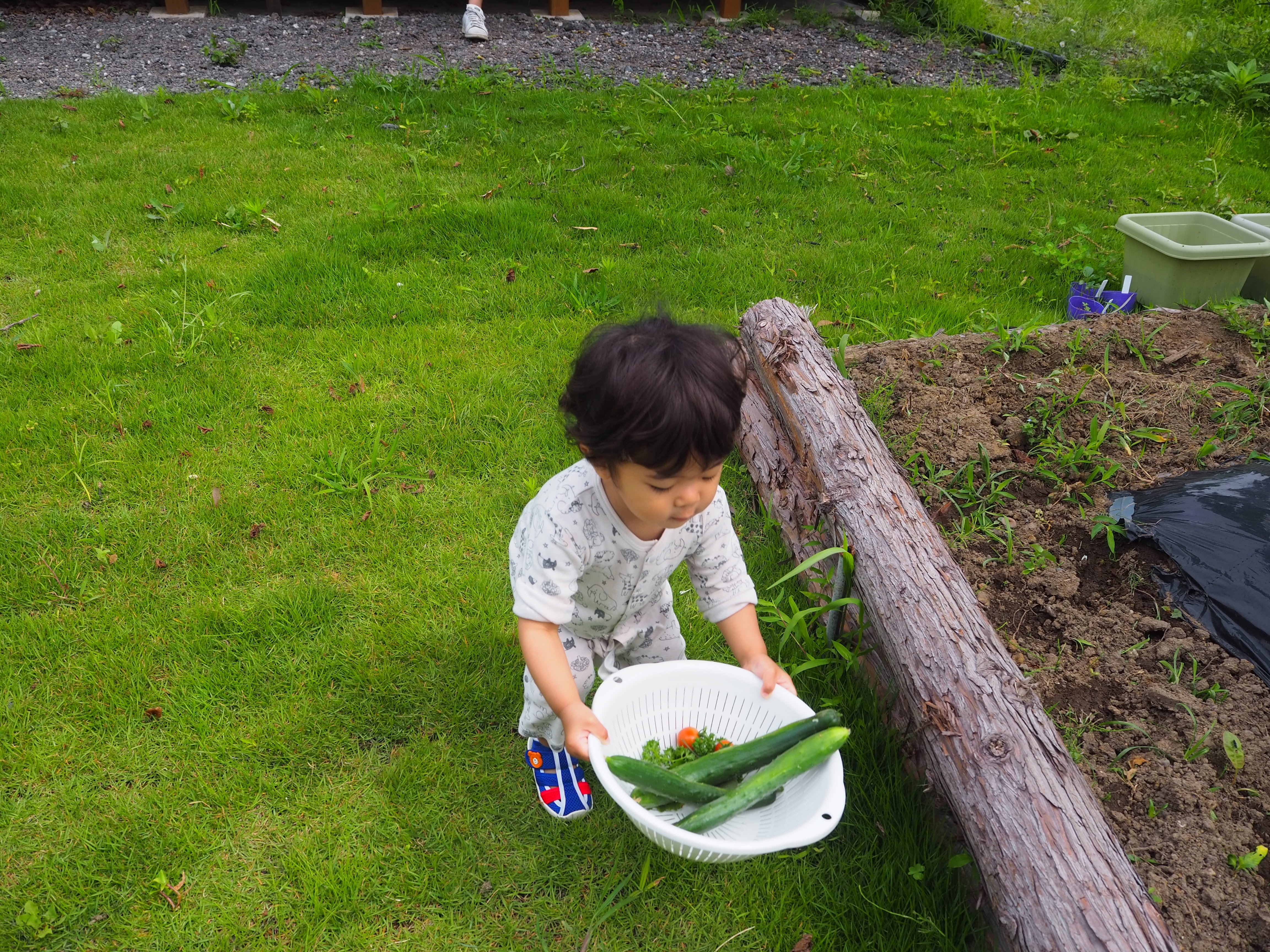 Harvest too!