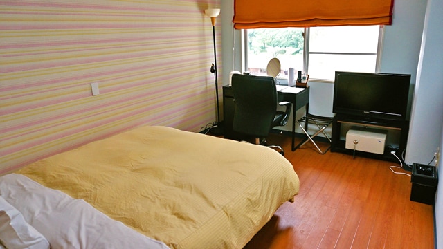 Mountain side Western style double room