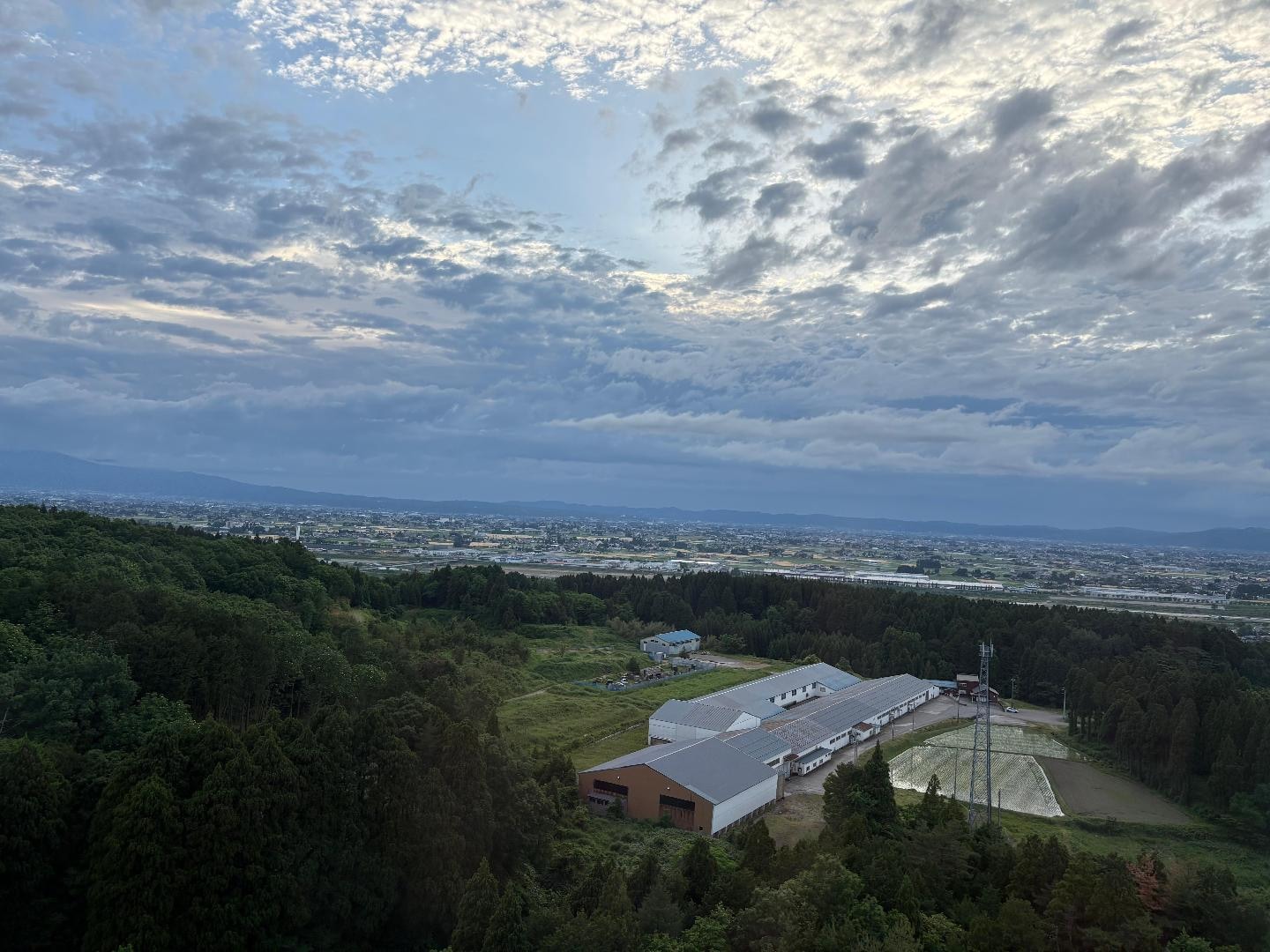 IMG_7199.jpeg