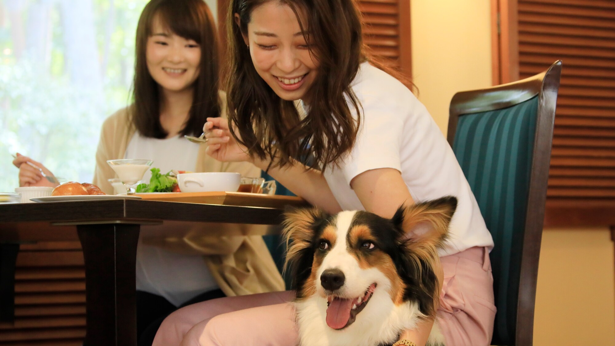Nhà hàng | Cùng nhau thưởng thức bữa ăn. Xin hãy tận hưởng thời gian thư giãn và thú vị.